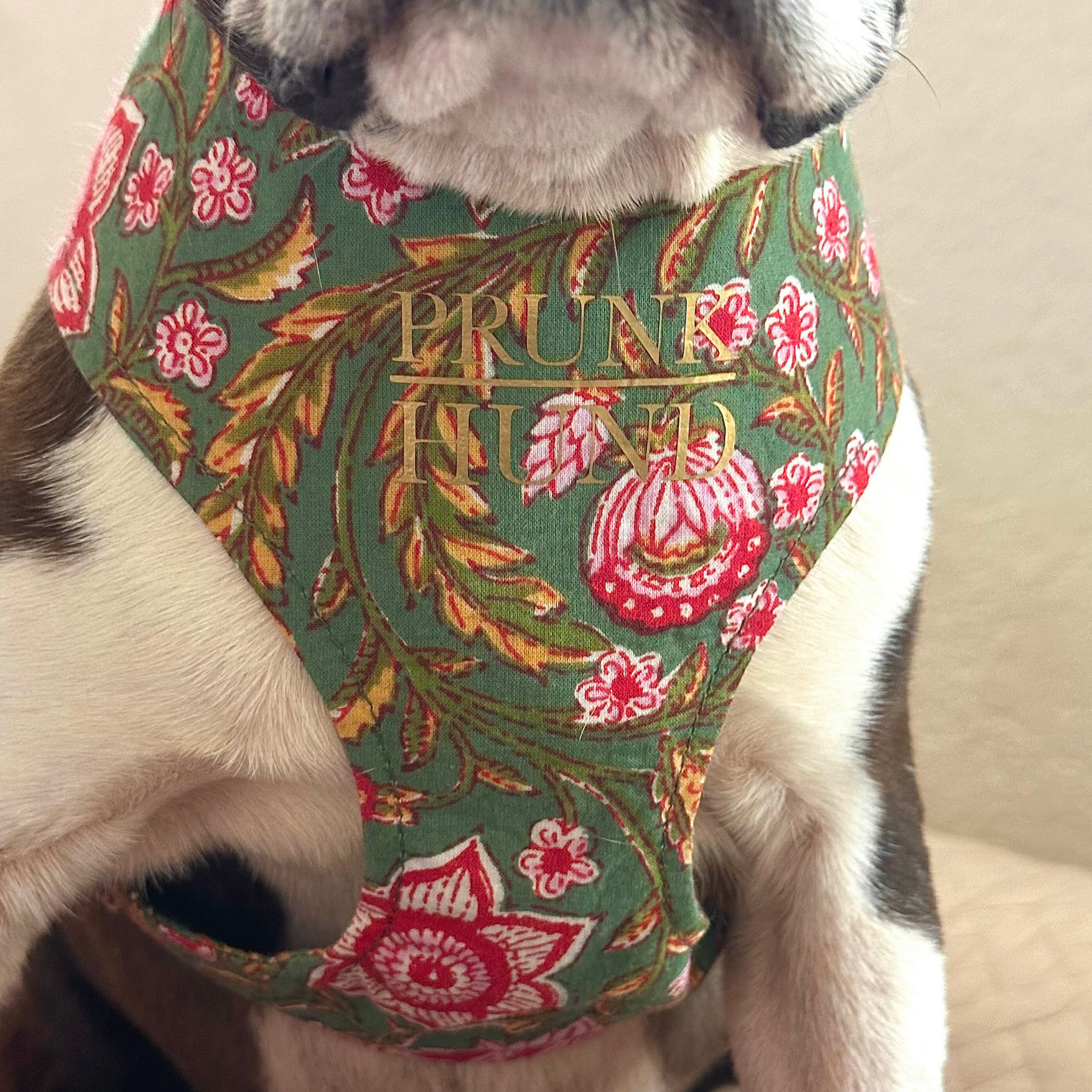 GOA garden SOFT HARNESS