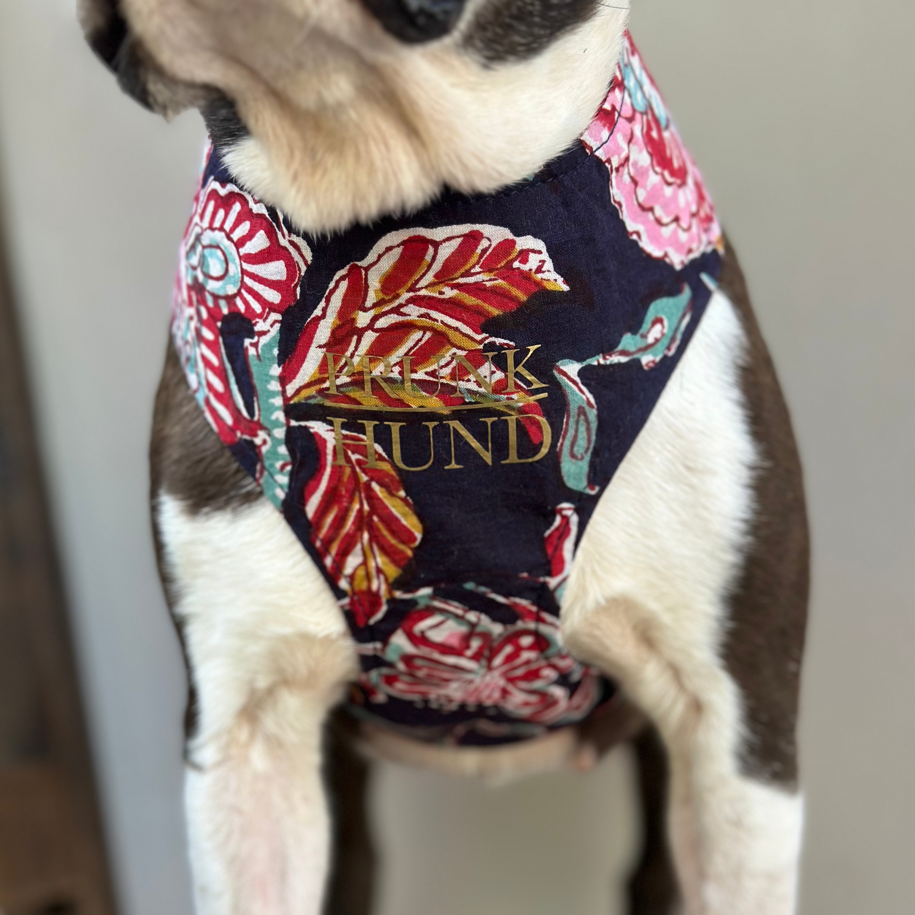 Softgeschirr GOA midnight