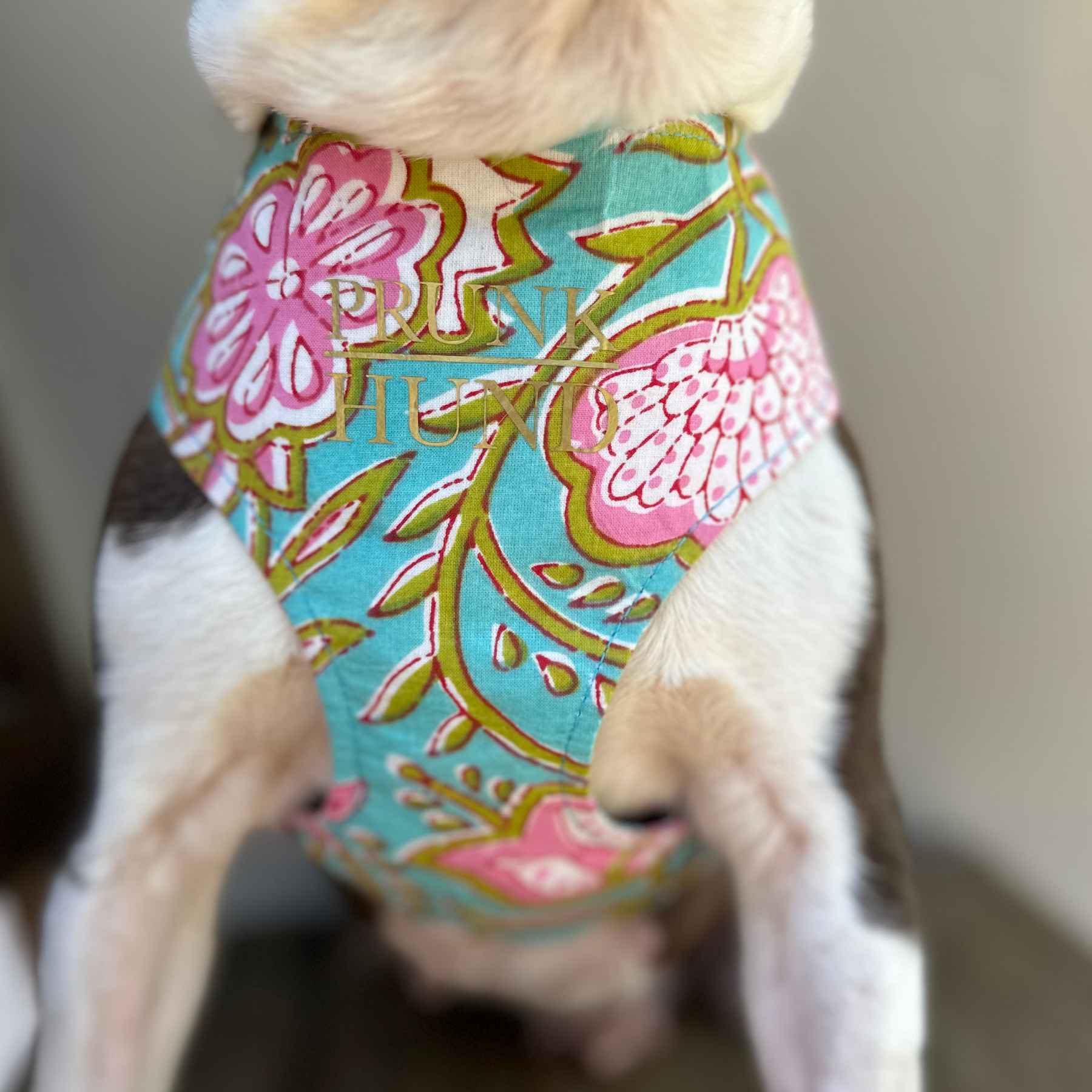 GOA aqua SOFT HARNESS