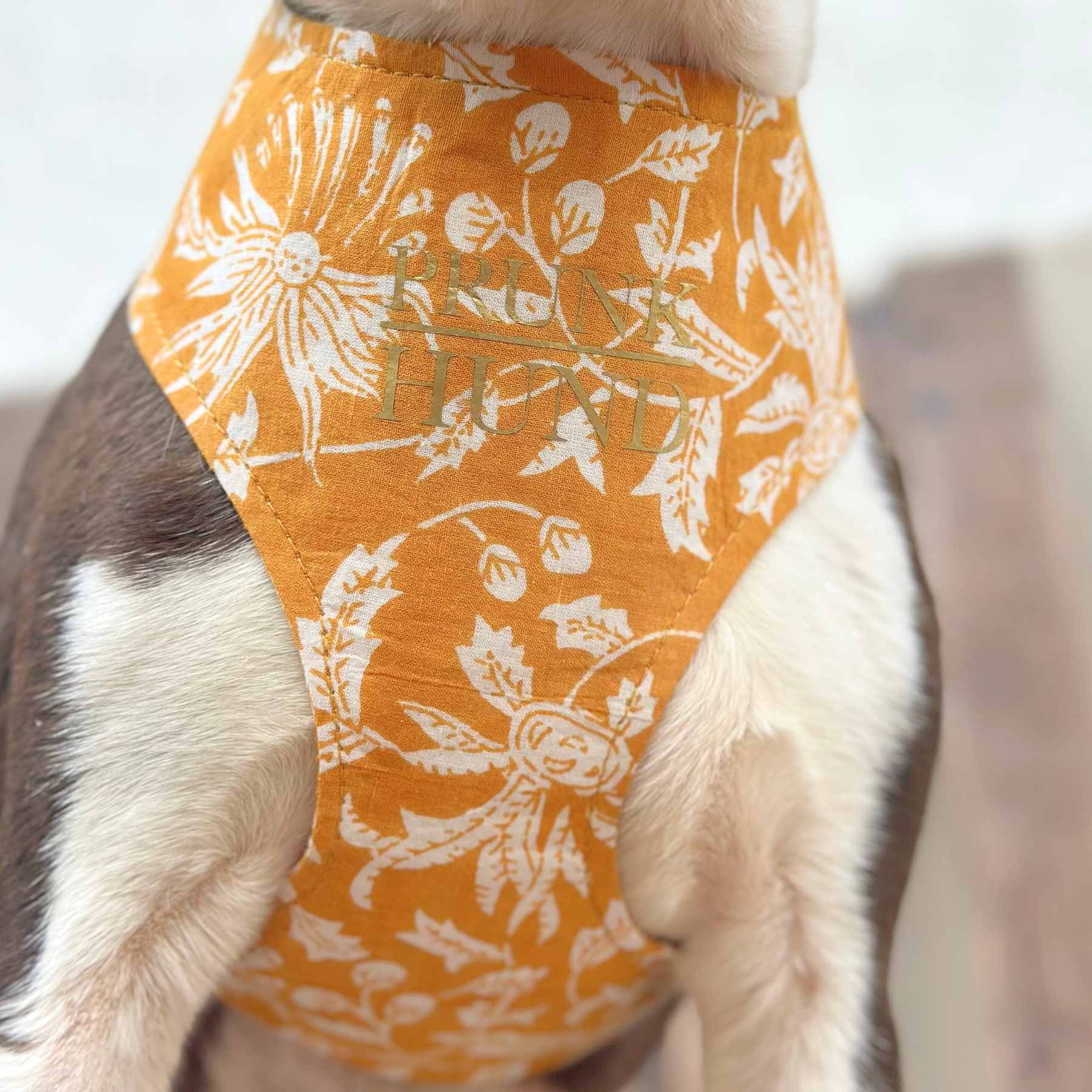 Softgeschirr GOA curry