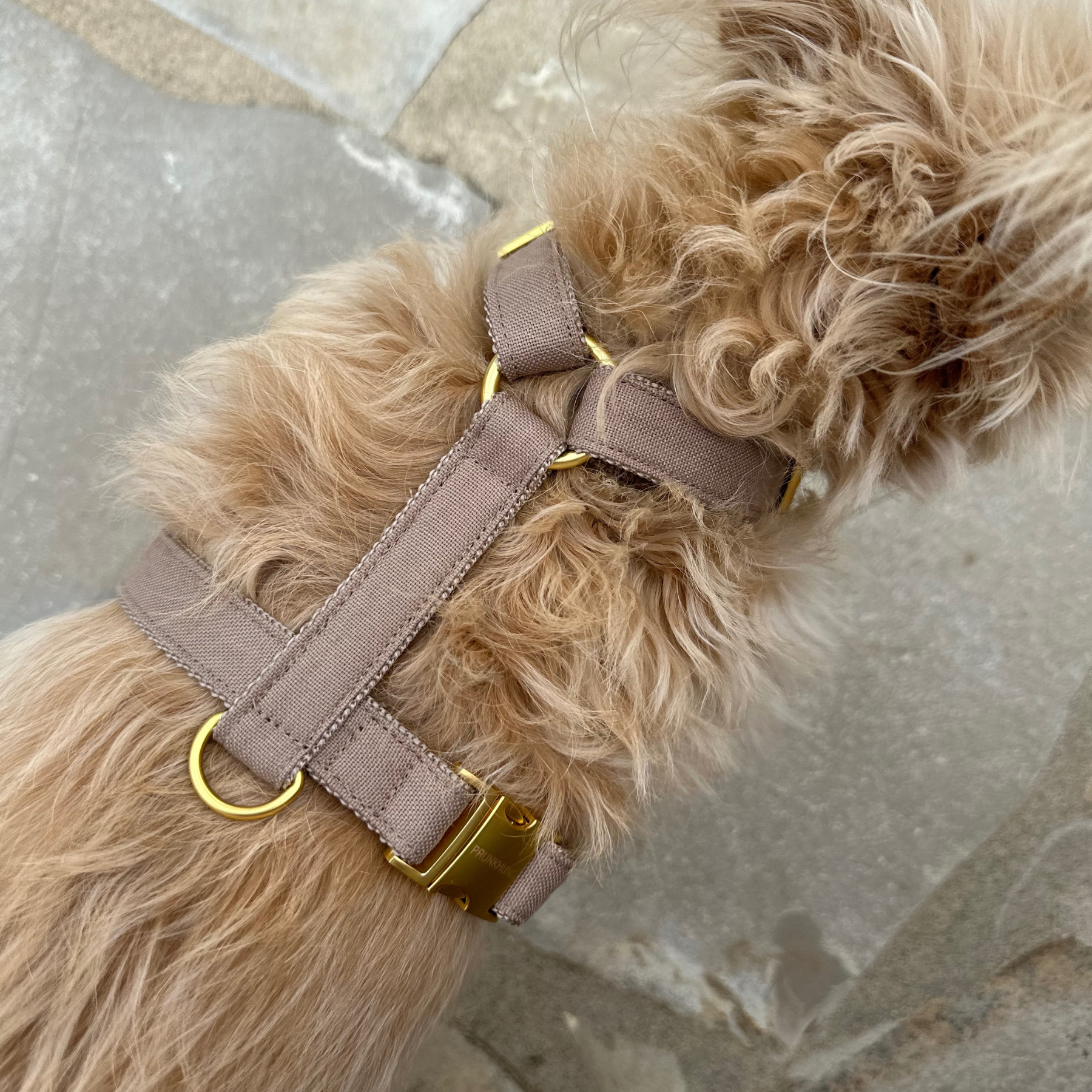 dog harness basic tan