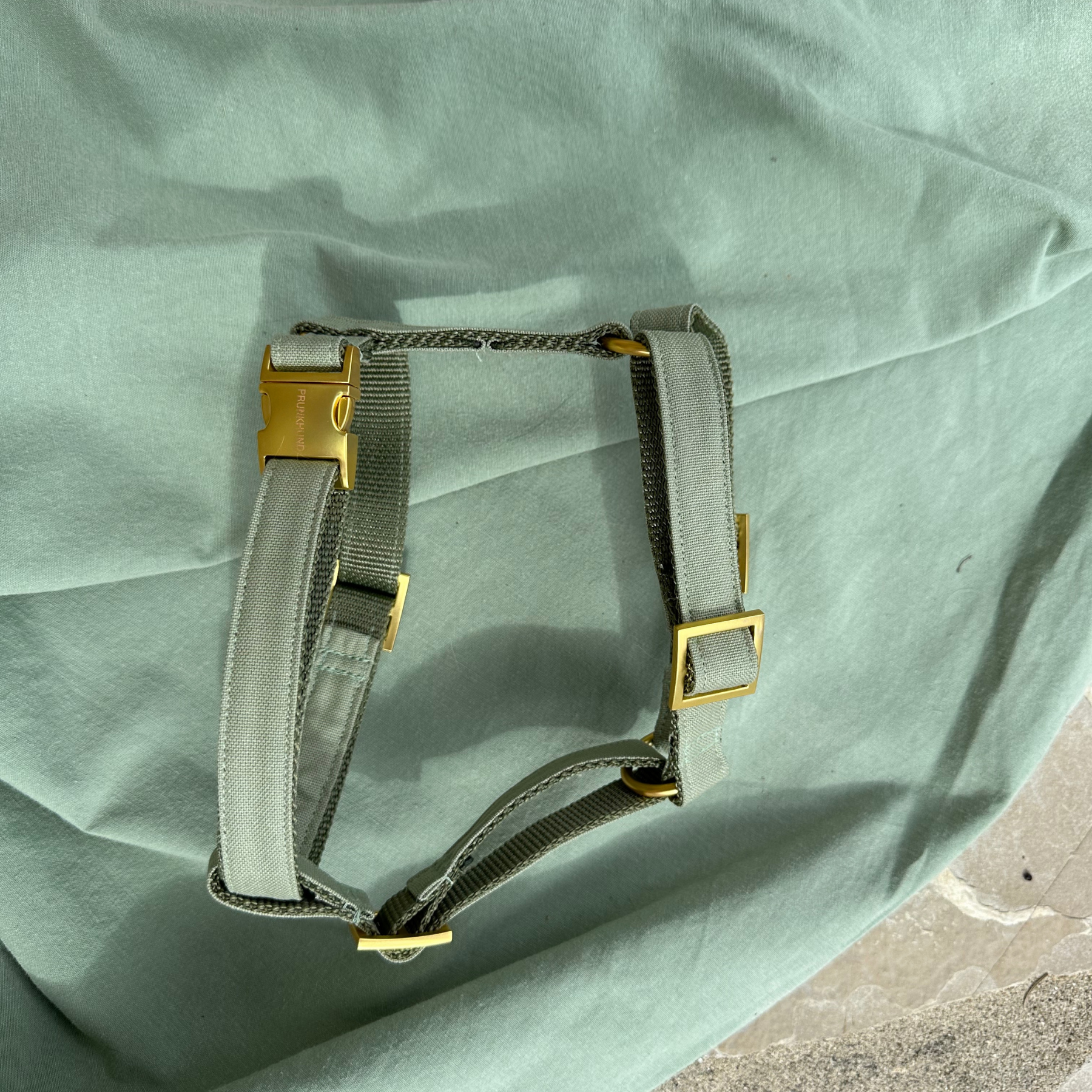 Hundegeschirr BASIC olive