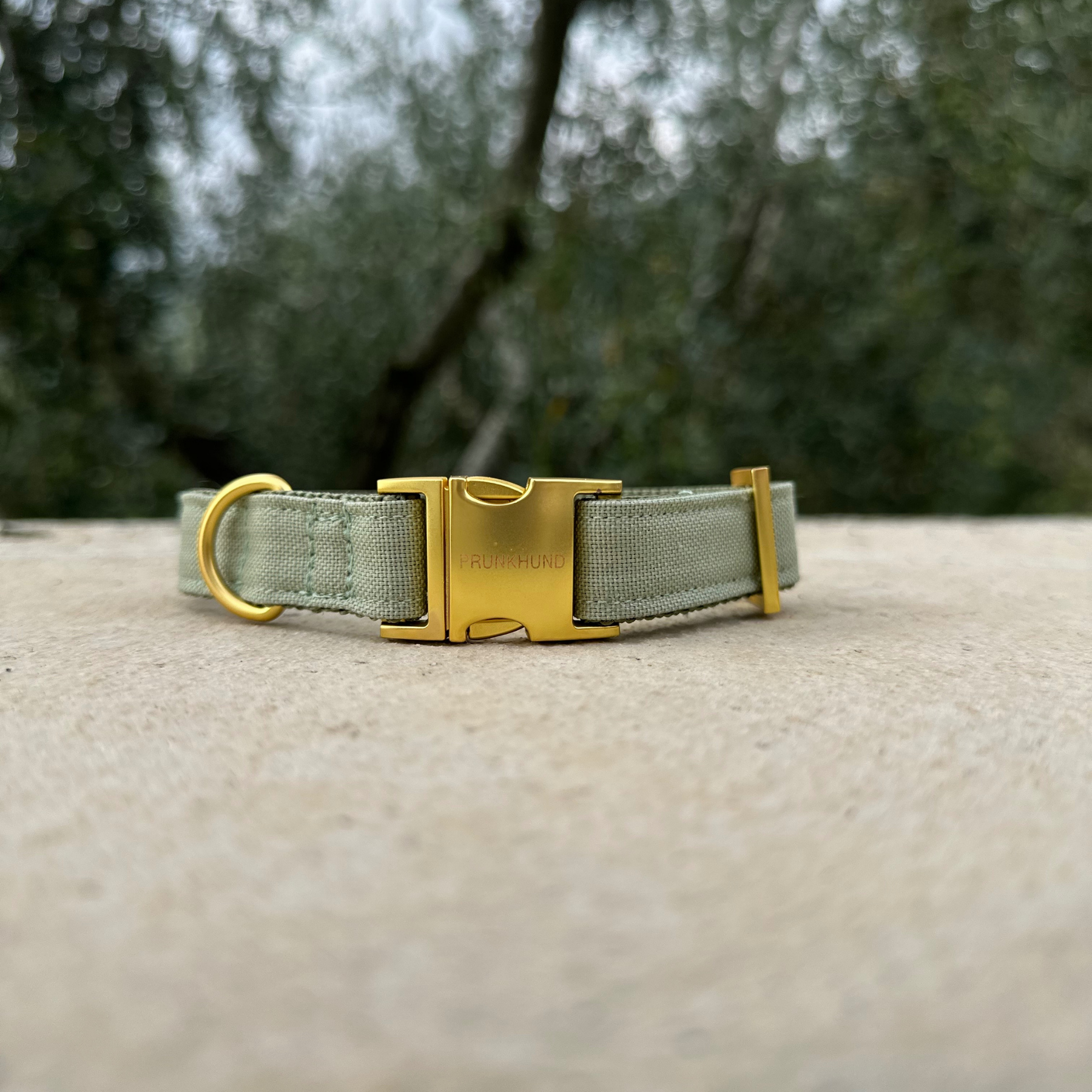 Halsband BASIC olive