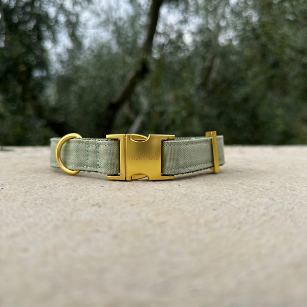 BASIC olive collar