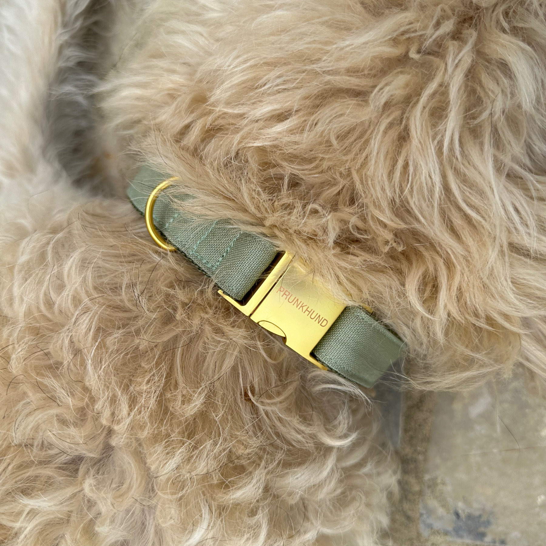 Halsband BASIC olive