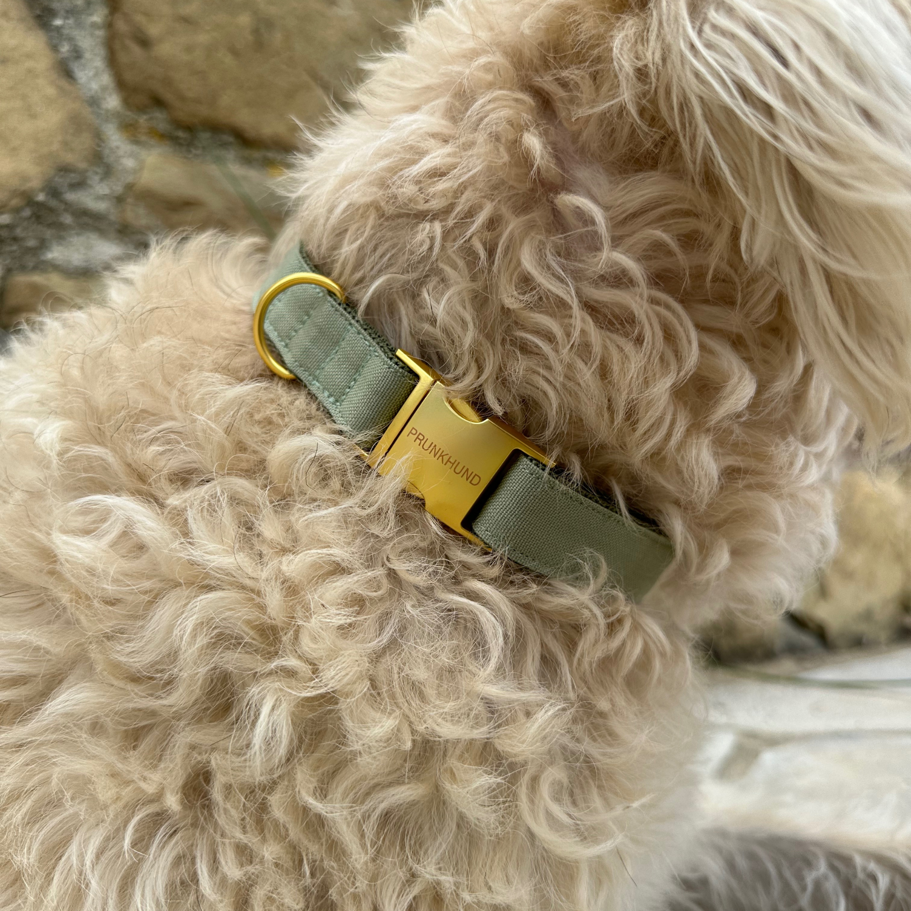 Halsband BASIC olive