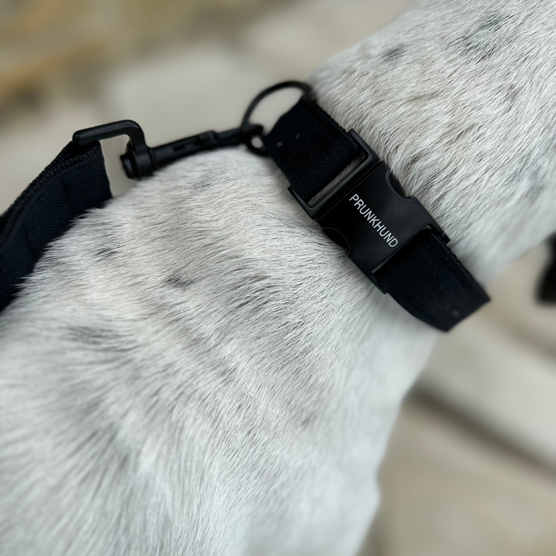 collar BASIC black