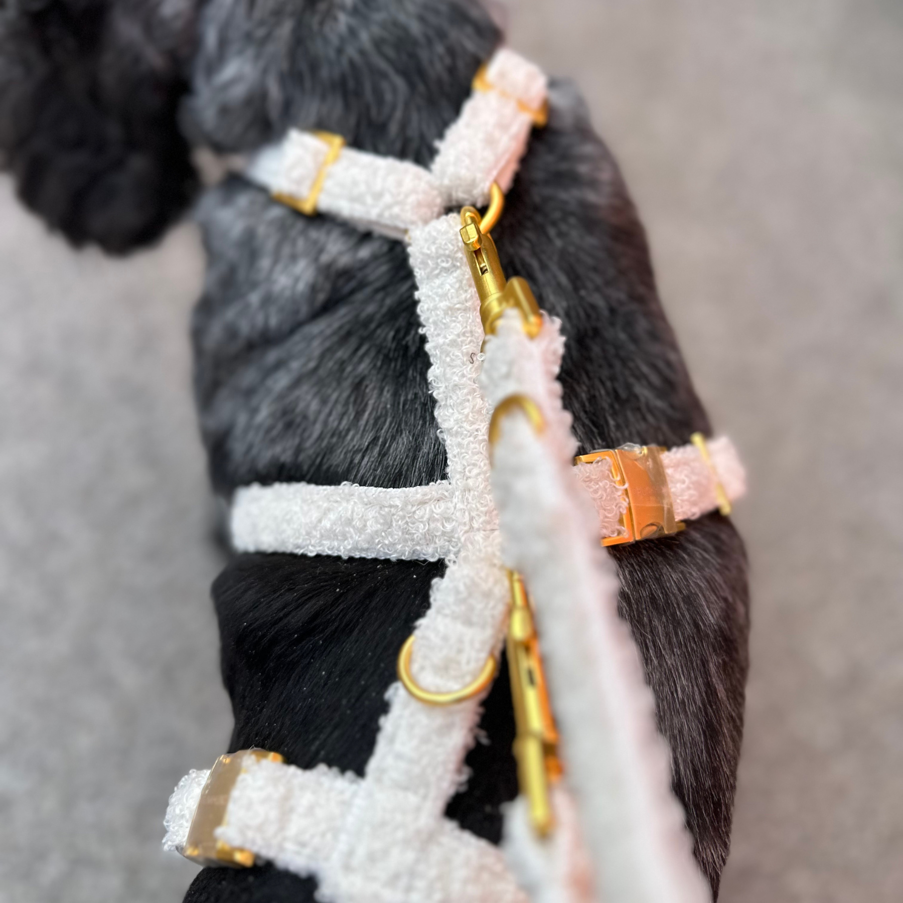 safety harness TEDDY cream