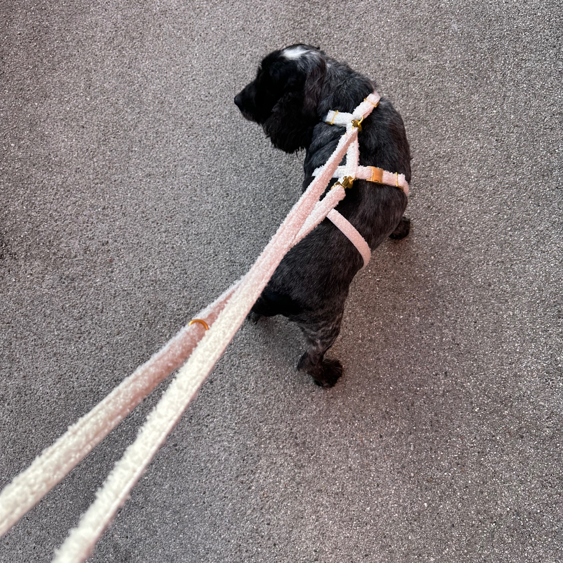 safety harness TEDDY cream