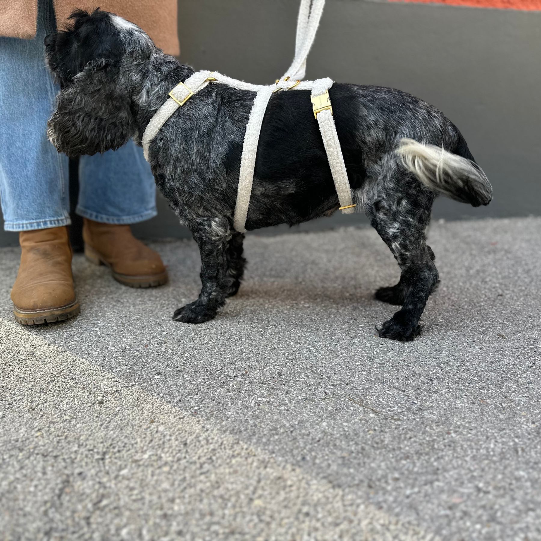 Sicherheitsgeschirr TEDDY cream