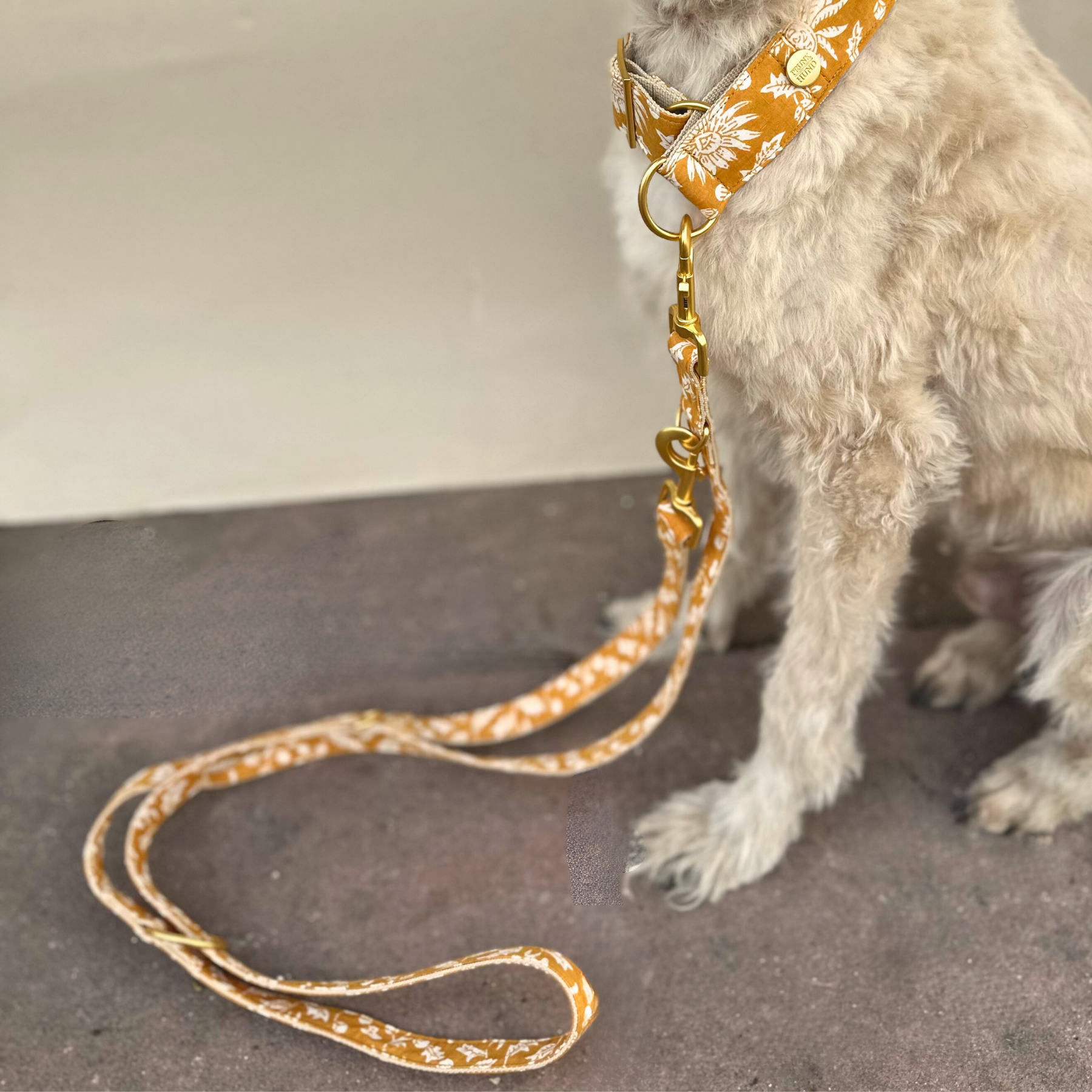 Zugstopp Halsband GOA curry