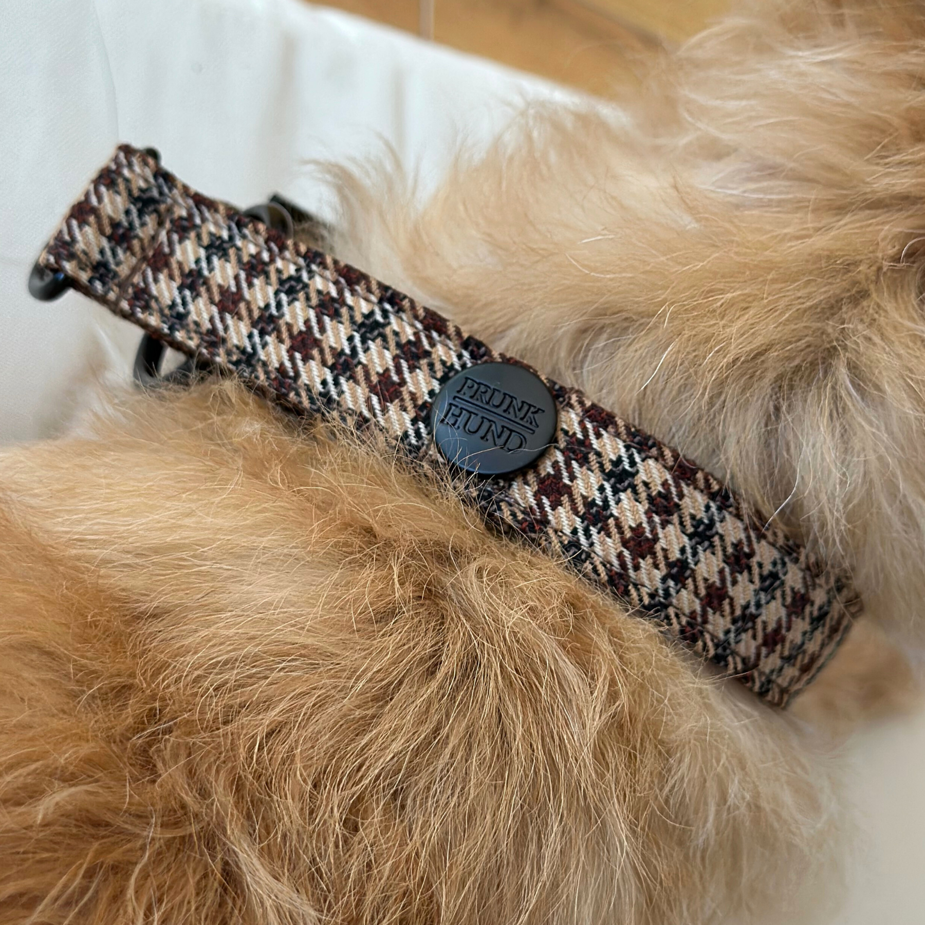 URBAN martingale dog collar