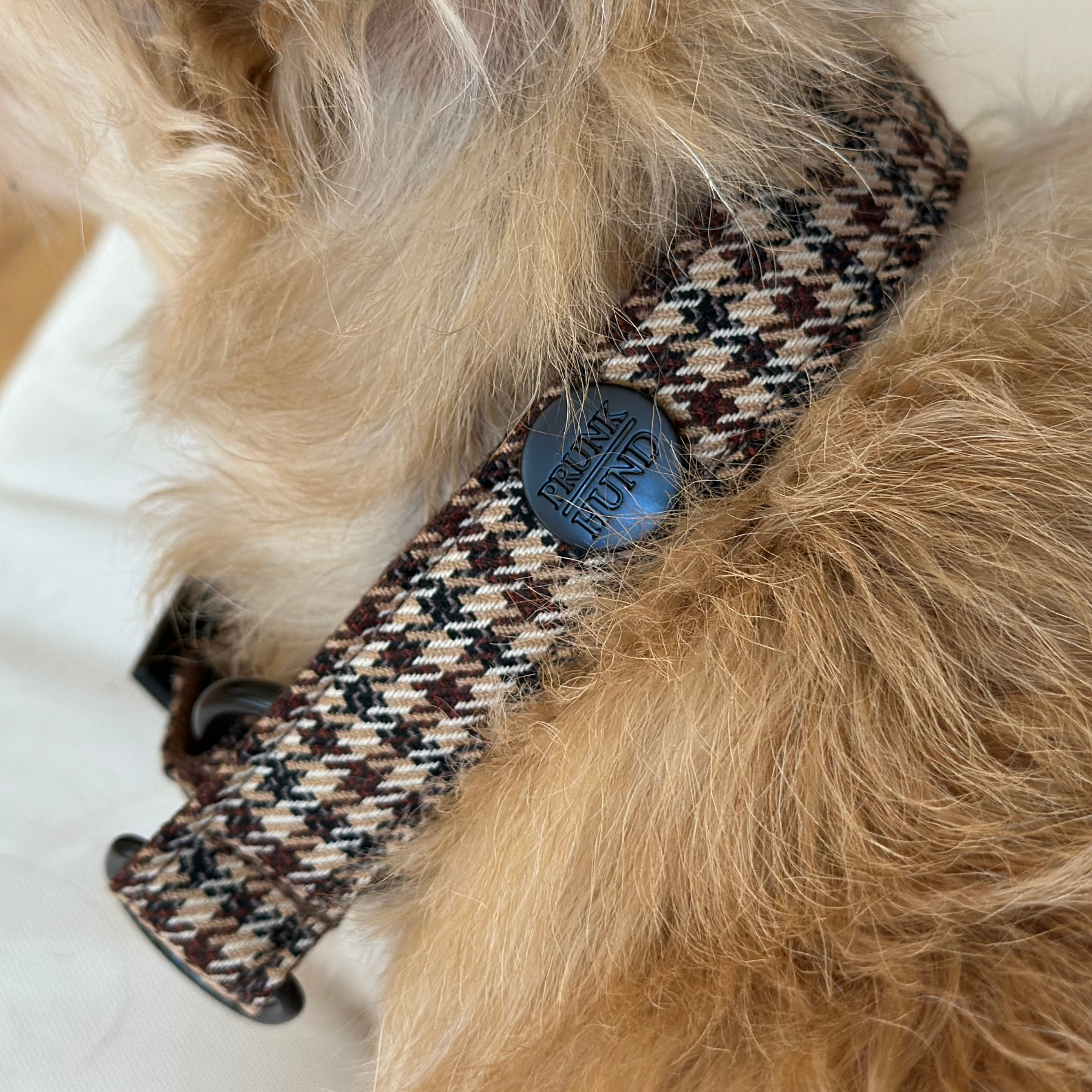 URBAN martingale dog collar