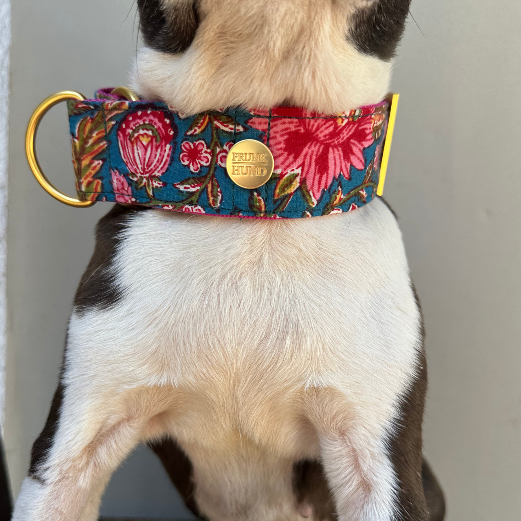 Zugstopp Halsband GOA azur