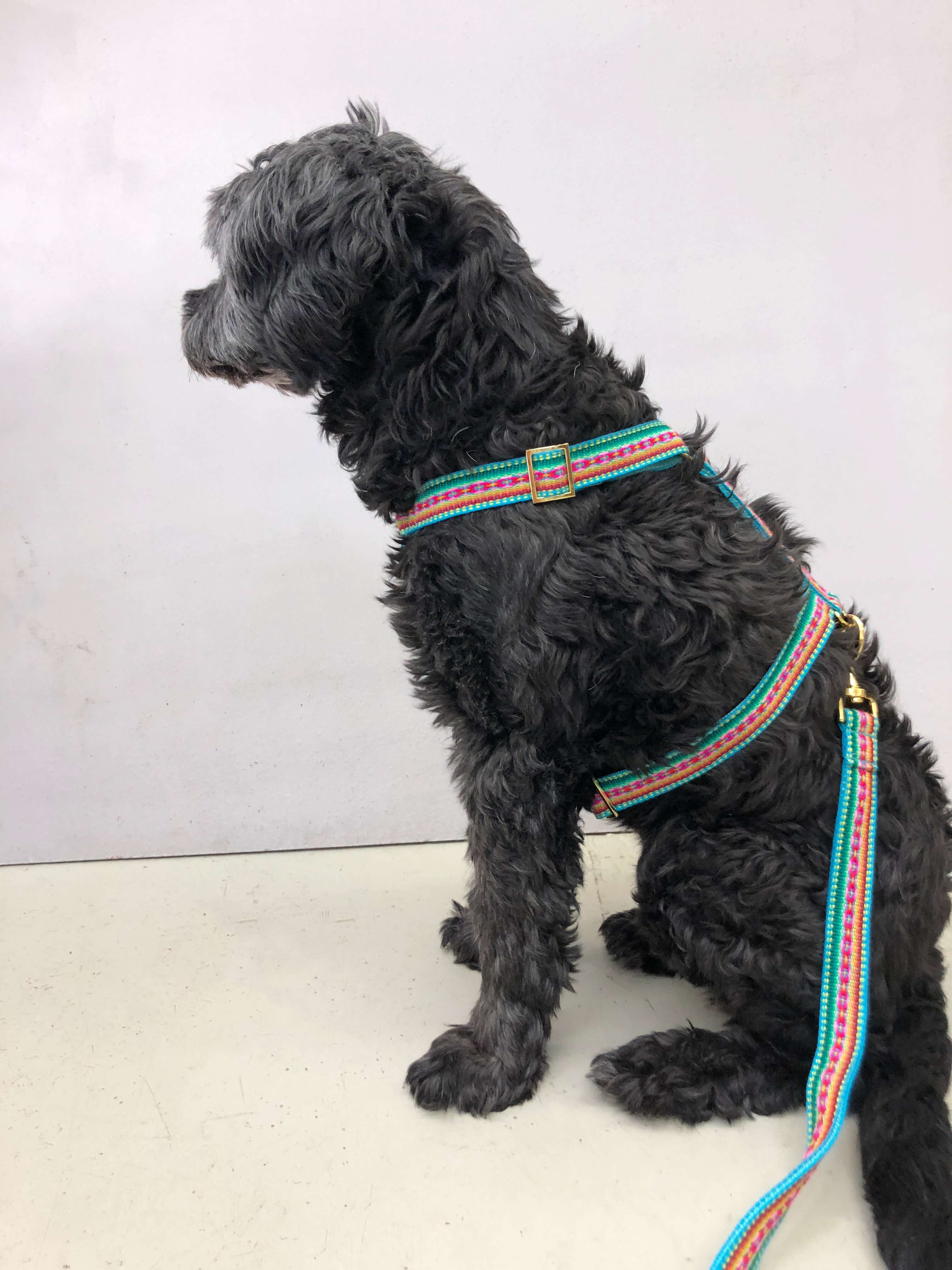 Dog harness IBIZA MINT