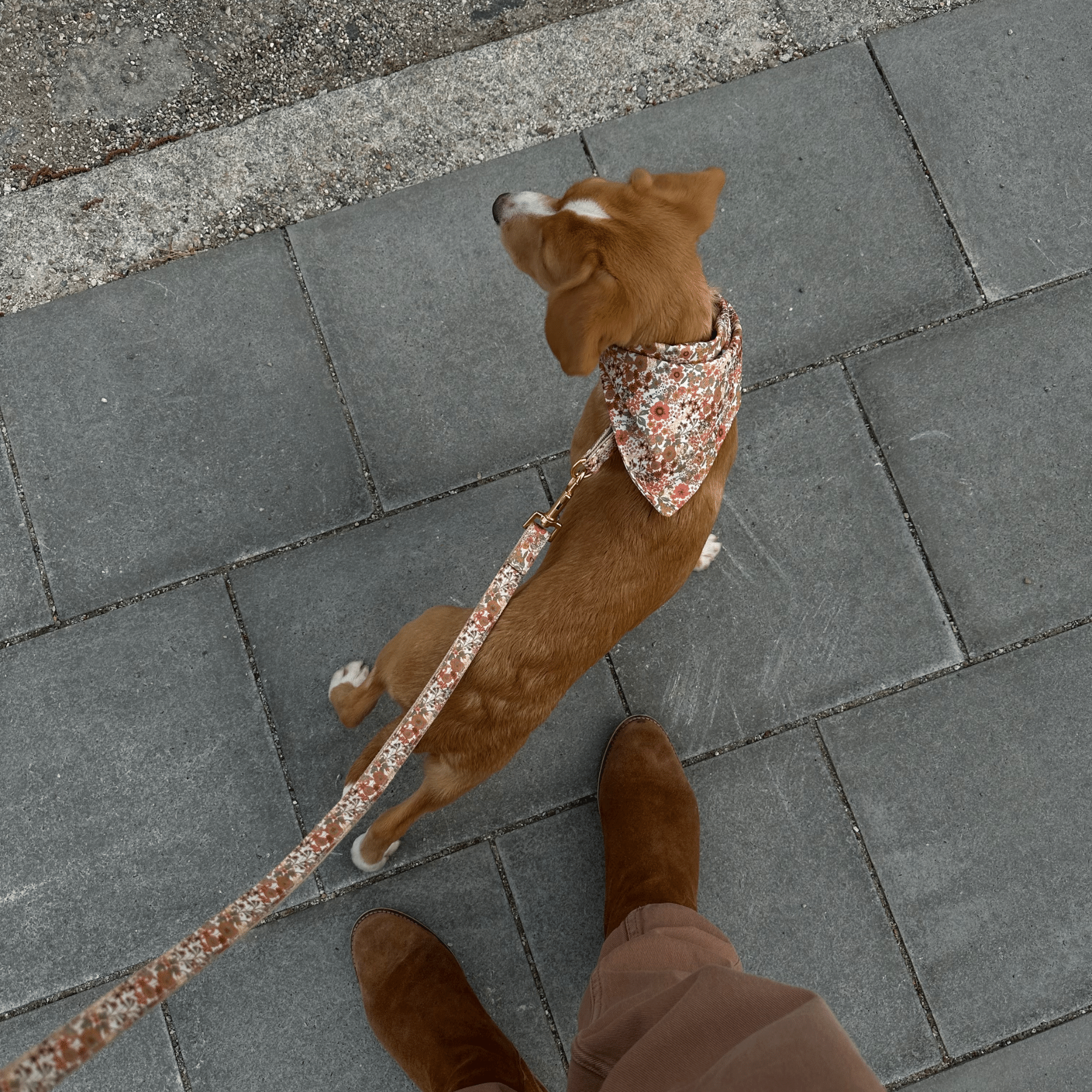 Dog bandana FIORE