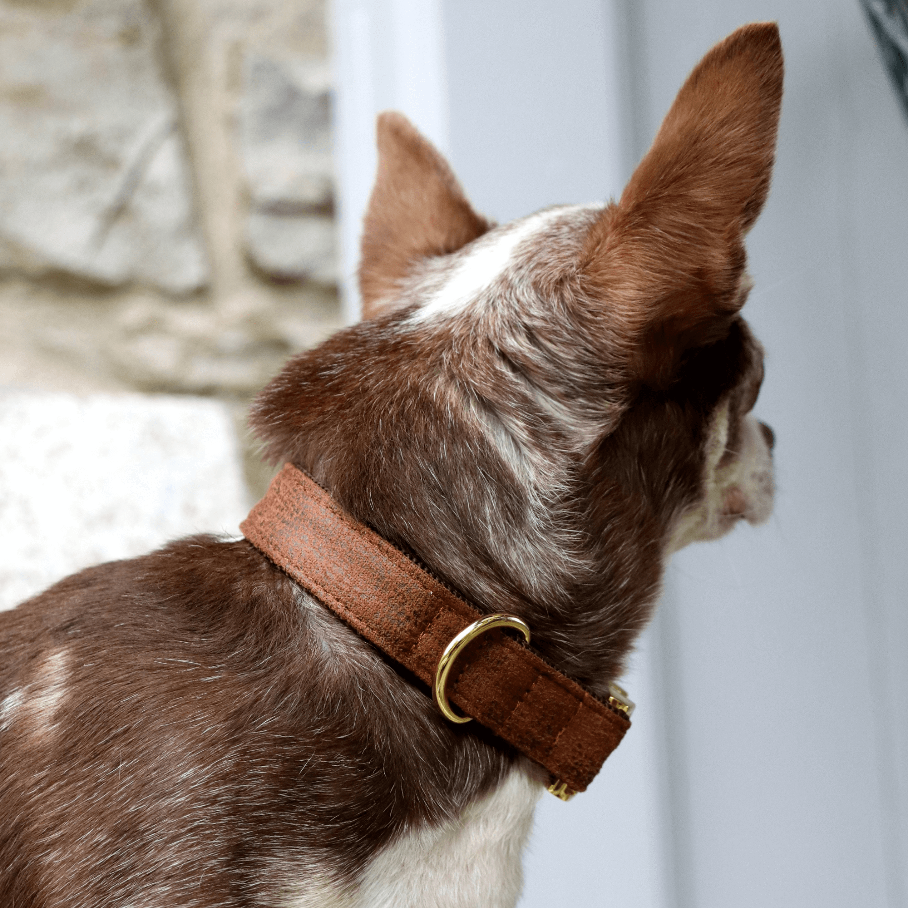 Halsband TRAVELER