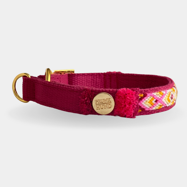 Martingale collar NOMAD berry