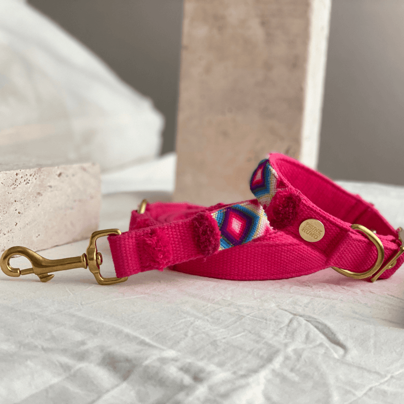 Halsband NOMA pink
