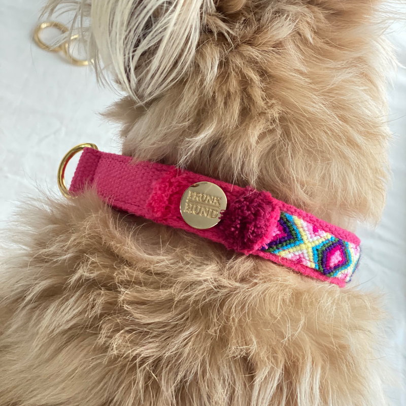 Martingale collar NOMAD pink