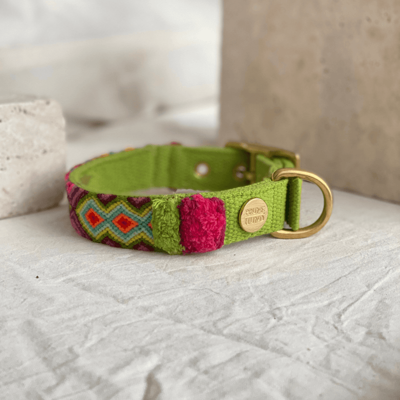 Collar NOMAD lime