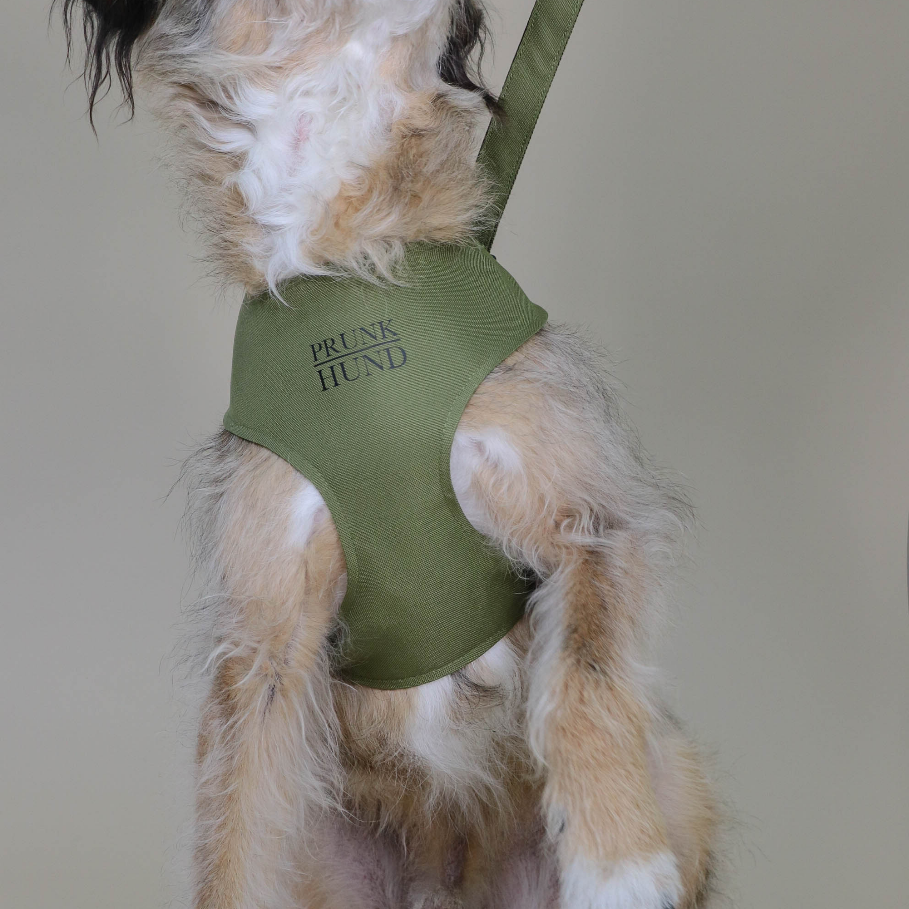 Softgeschirr CROCODILE