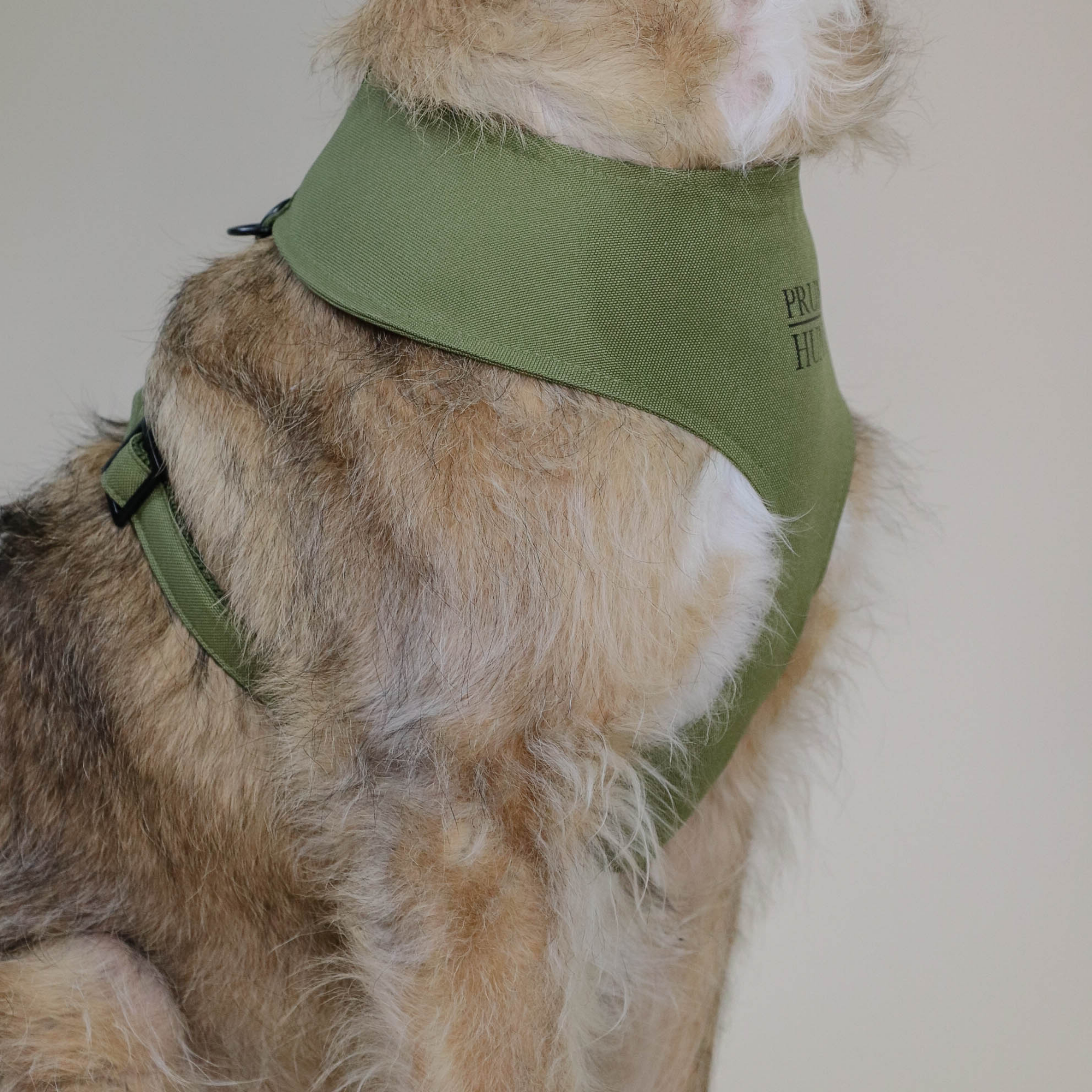 Soft harness CROCODILE