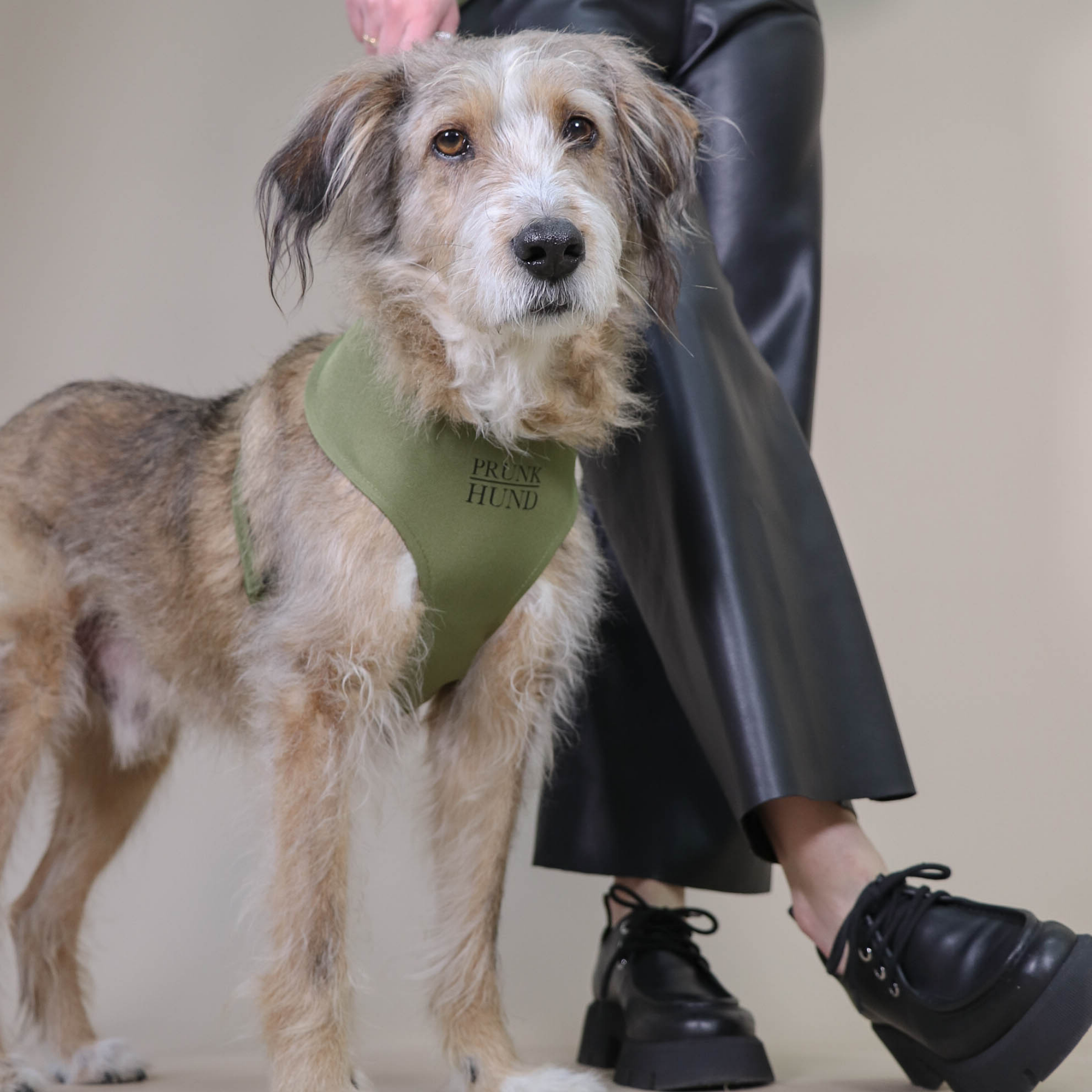 Soft harness CROCODILE