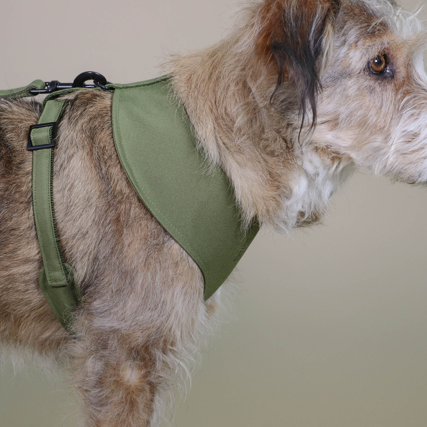 Soft harness CROCODILE