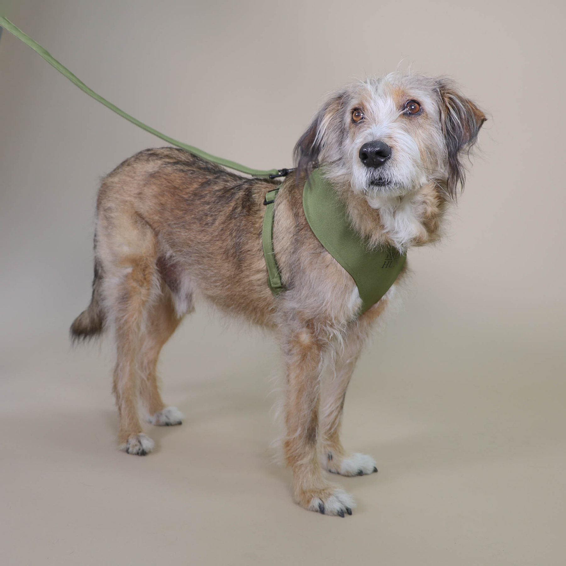 Soft harness CROCODILE