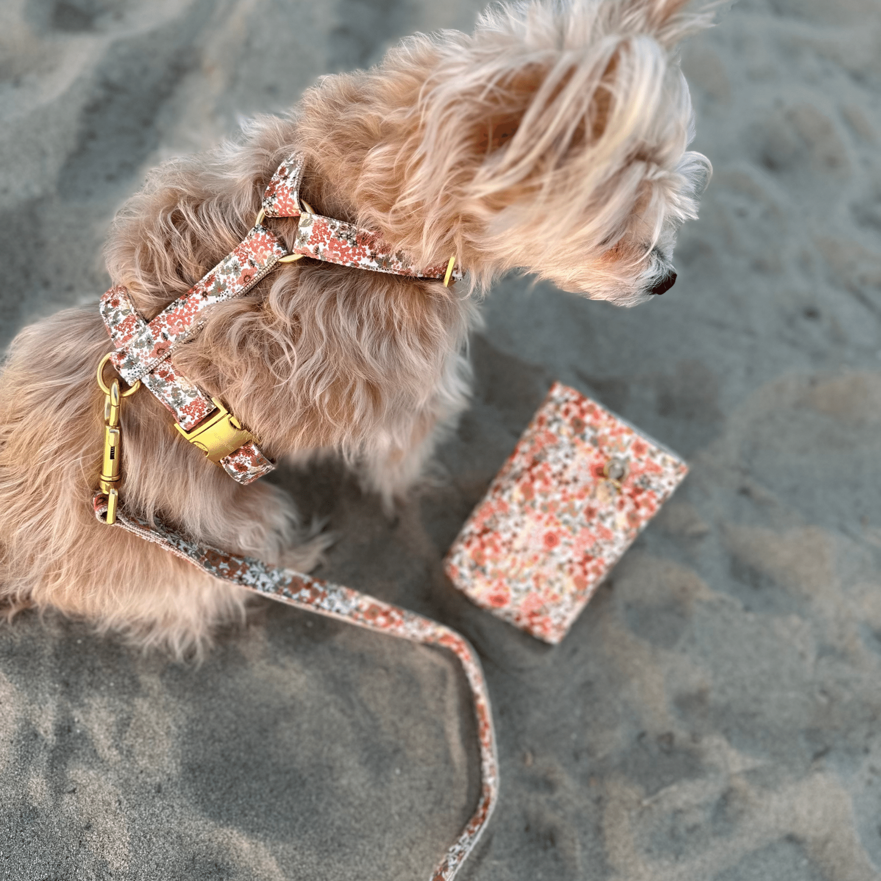 Hundegeschirr FIORE