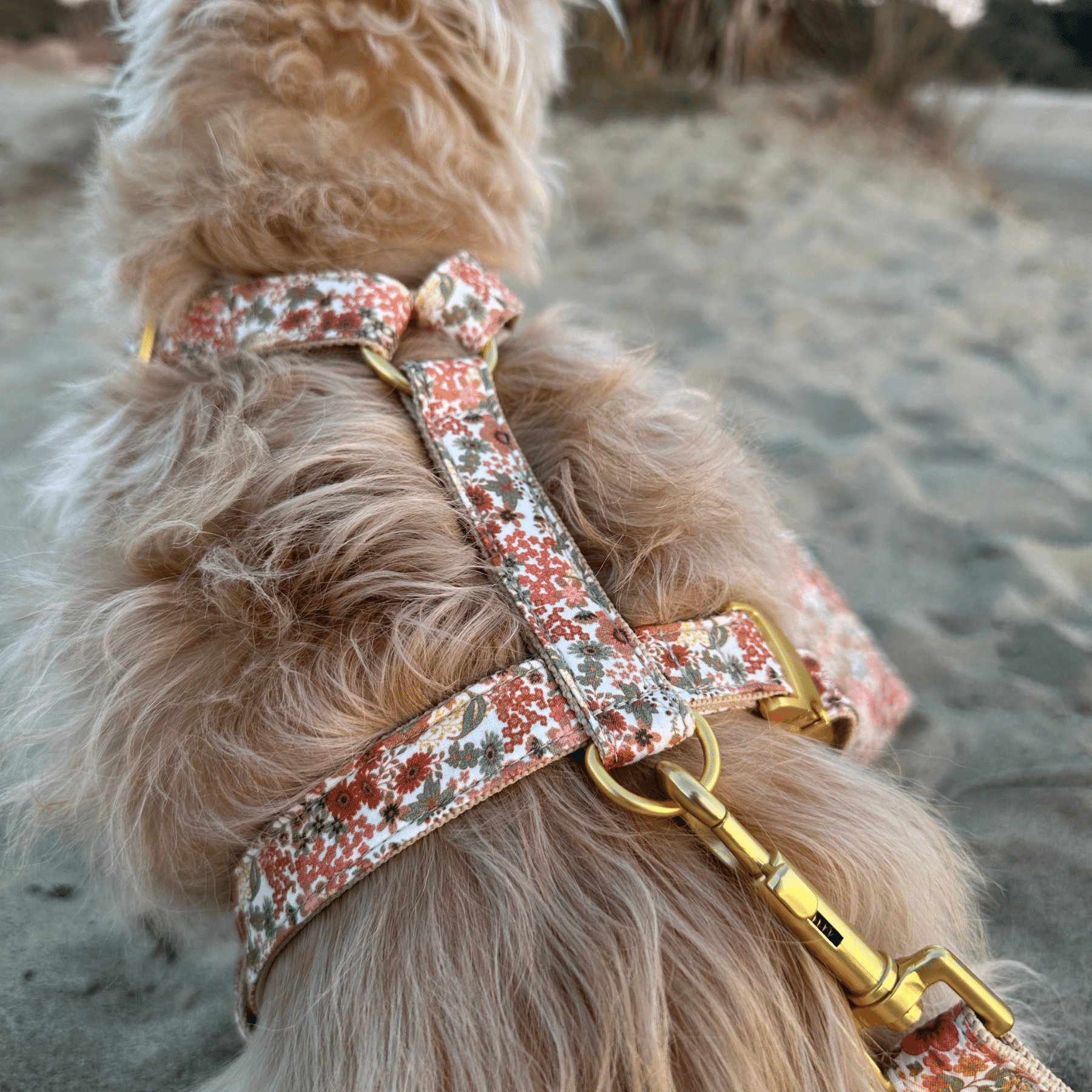 Hundegeschirr FIORE