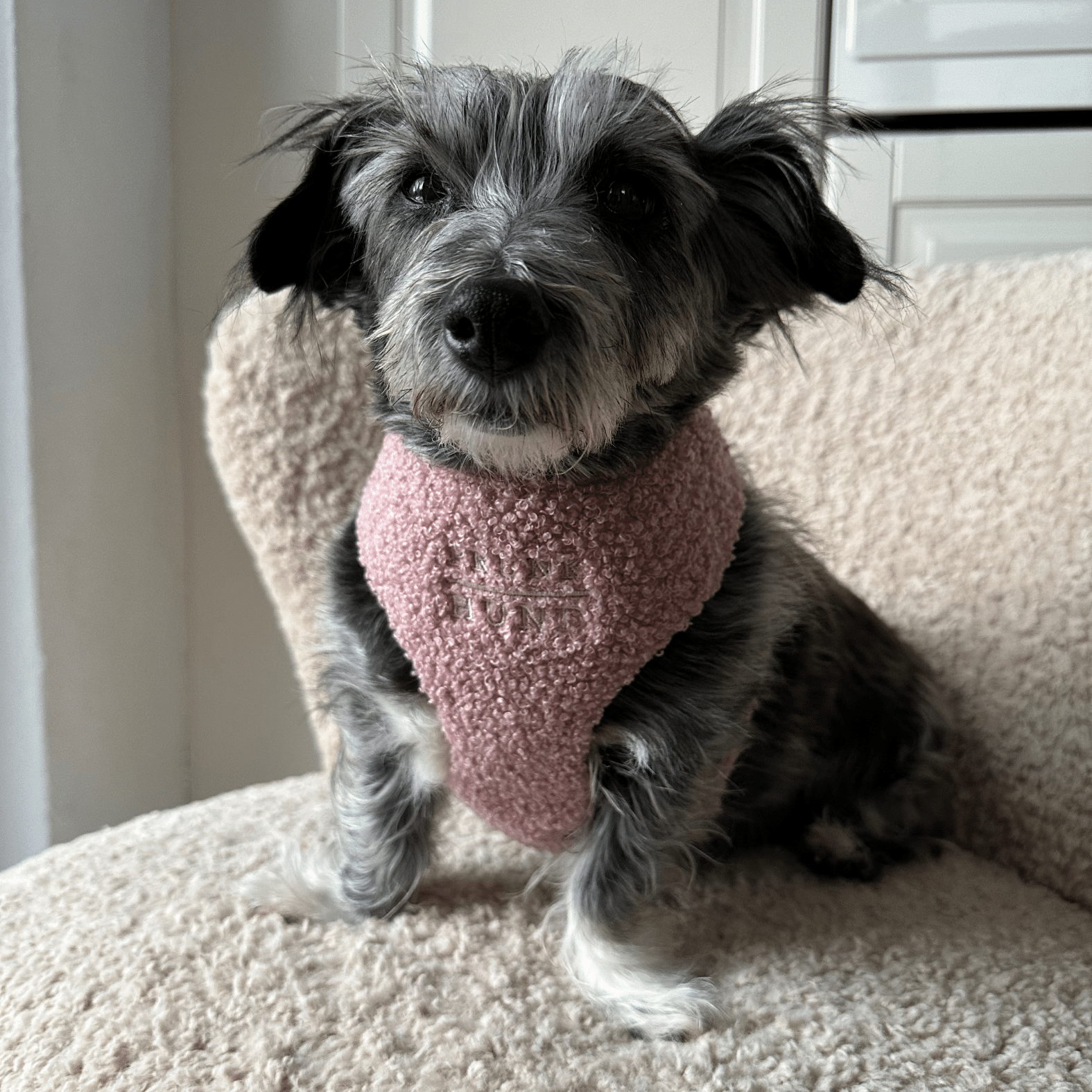 TEDDY blush soft harness