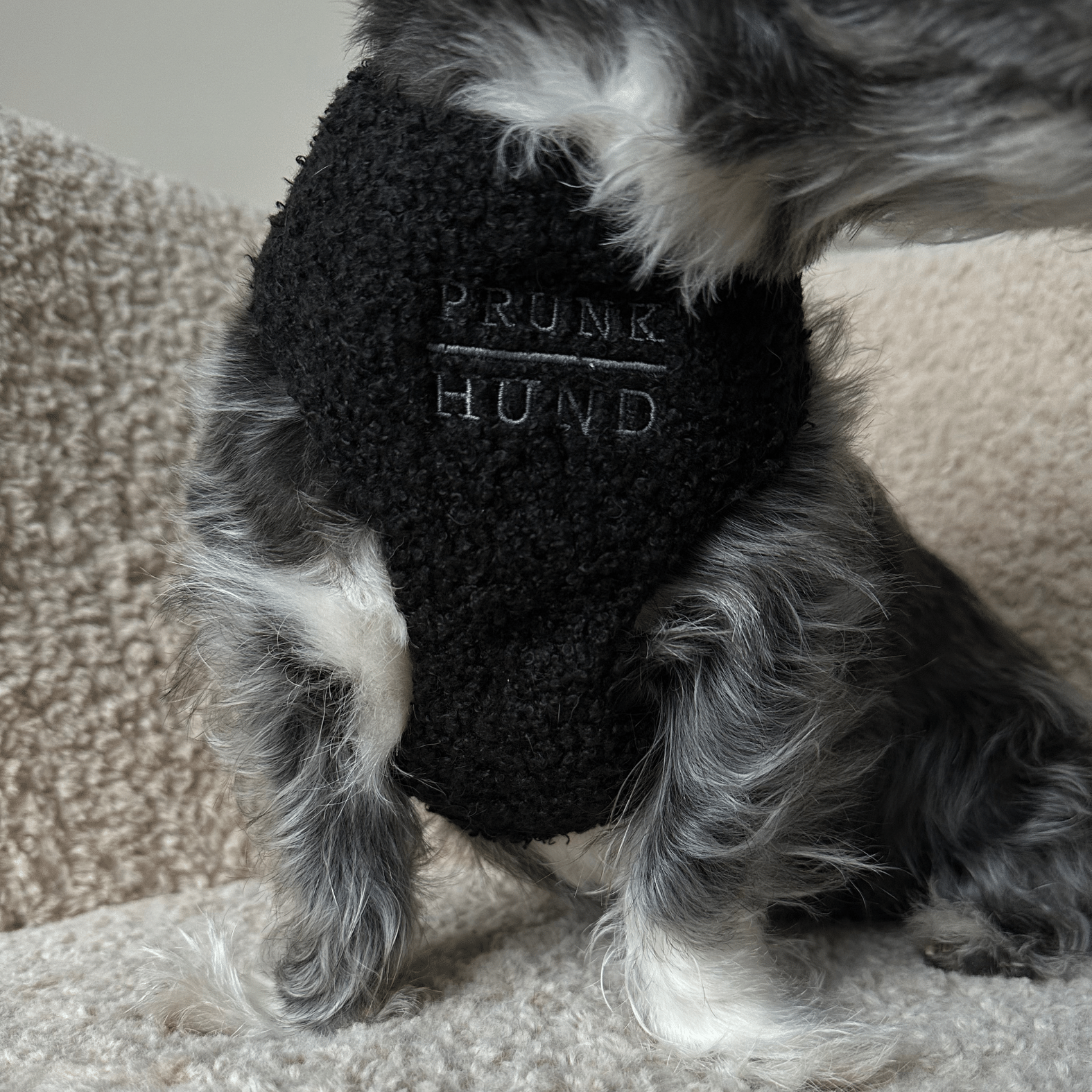 TEDDY black soft harness