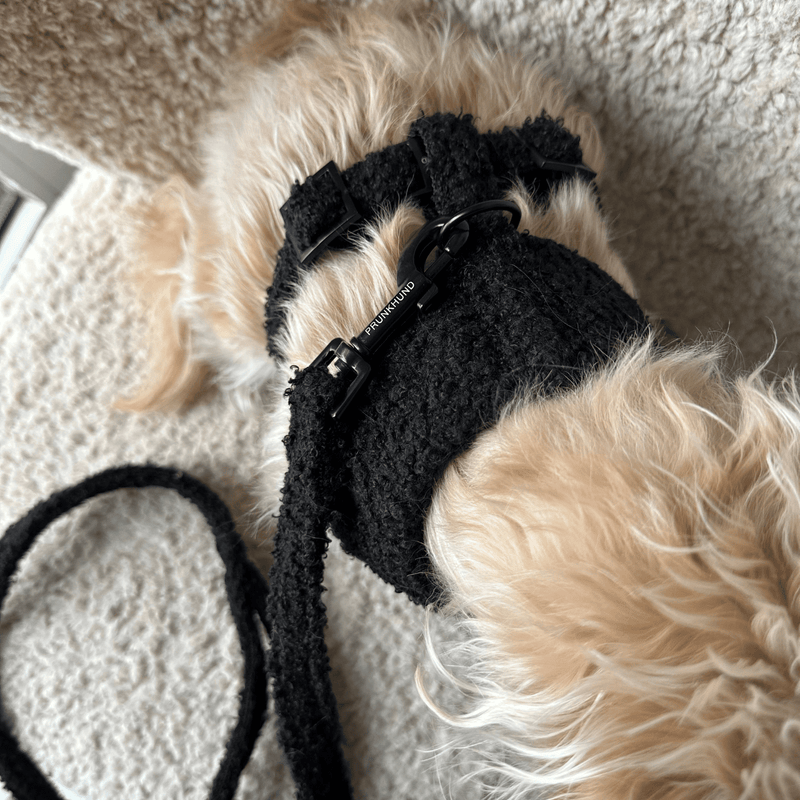 TEDDY black soft harness