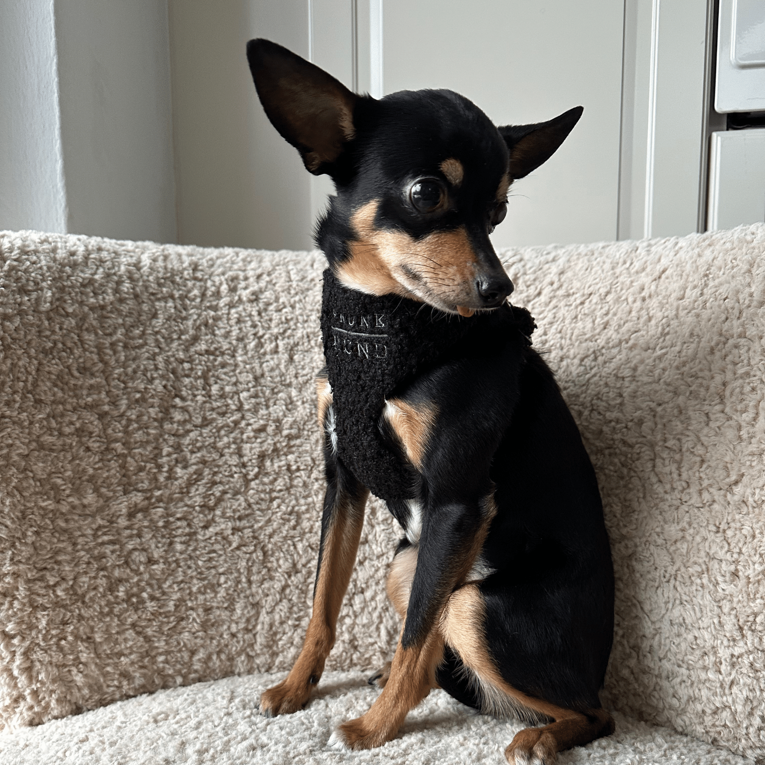 TEDDY black soft harness