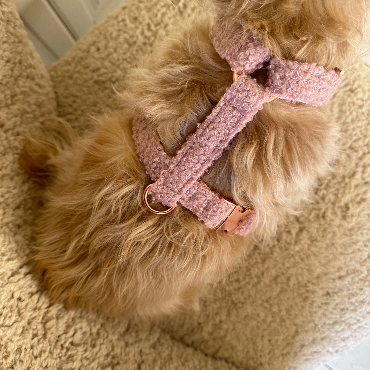 dog harness TEDDY blush