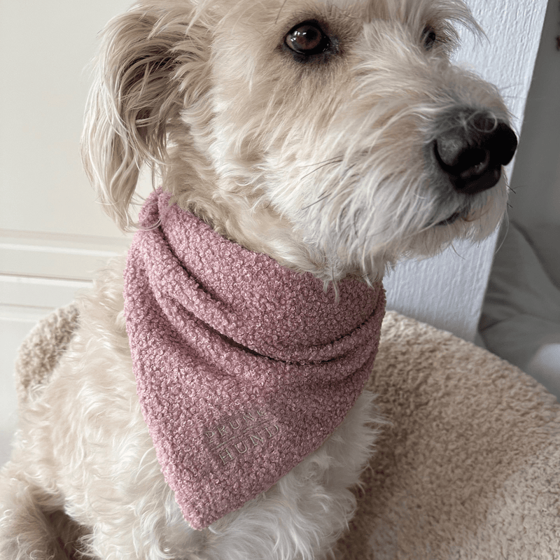 Dog bandana TEDDY blush