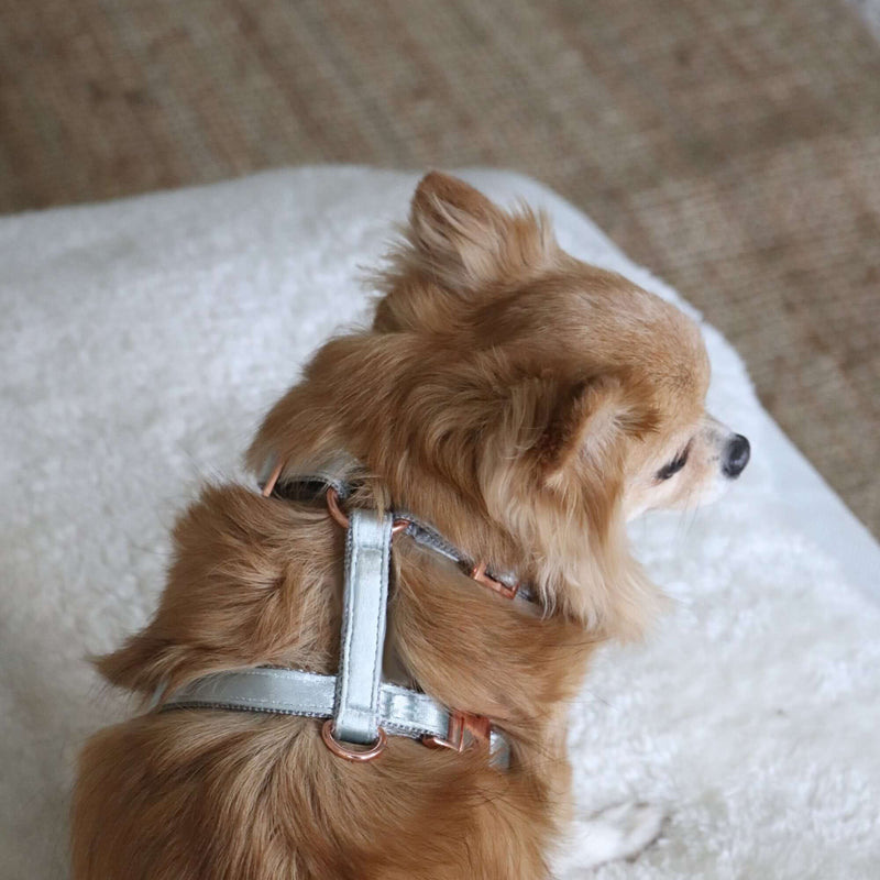 Dog harness MOON SHADOW