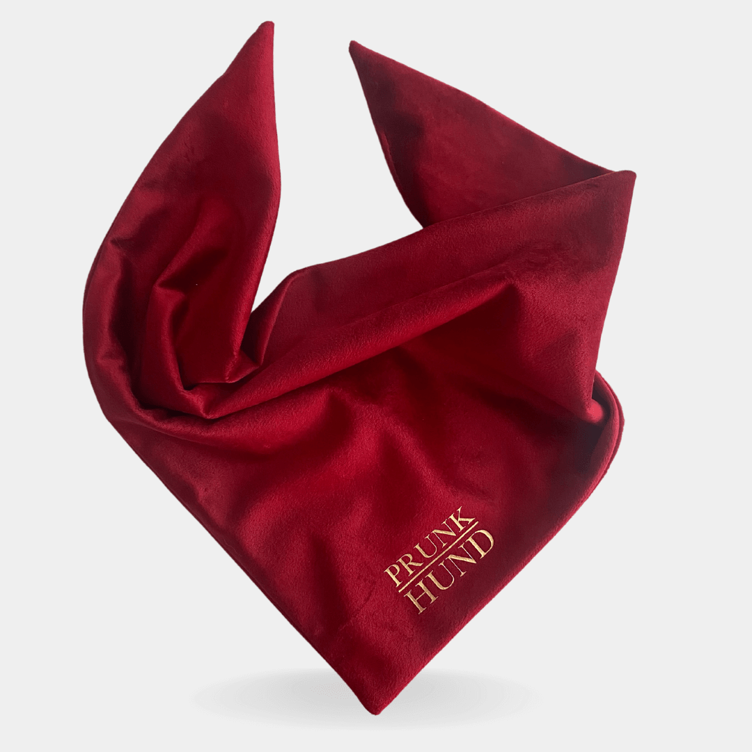 SANTA BABY dog scarf