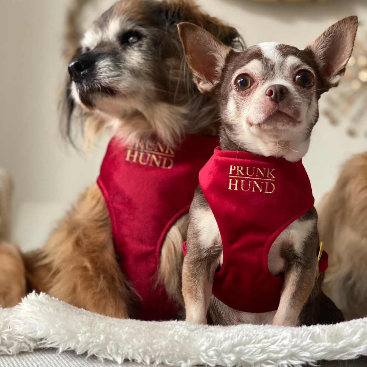 Soft harness SANTA BABY
