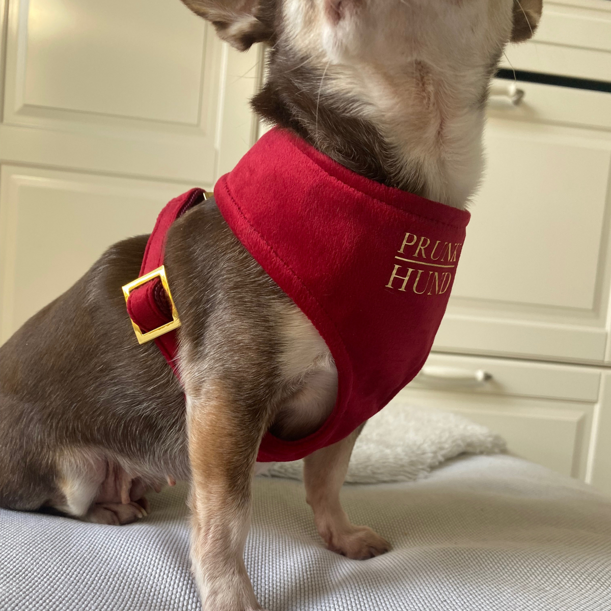 Soft harness SANTA BABY