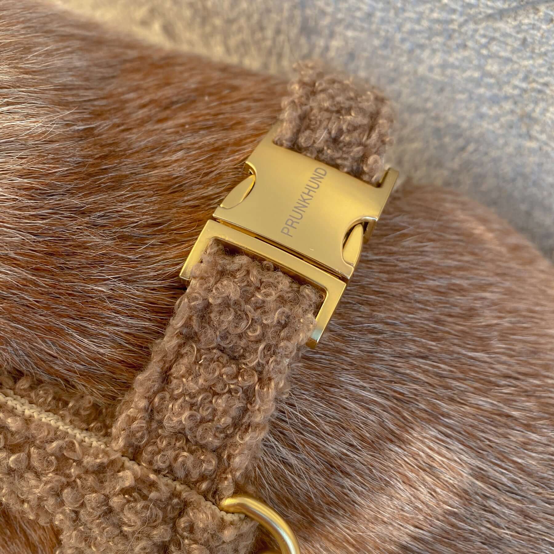 dog harness TEDDY tan