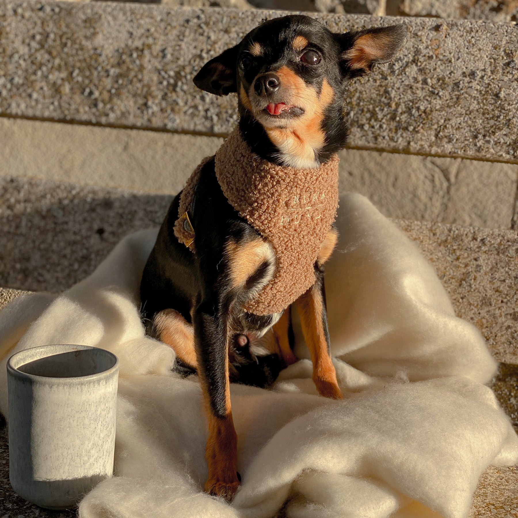 TEDDY tan soft harness