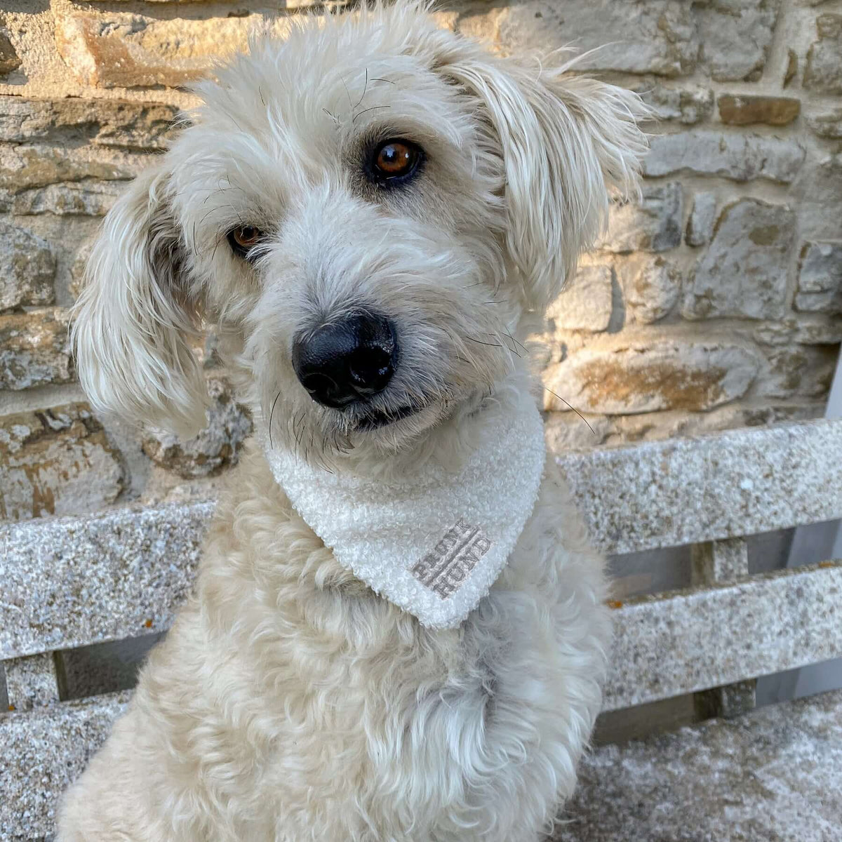 Hundehalstuch TEDDY cream