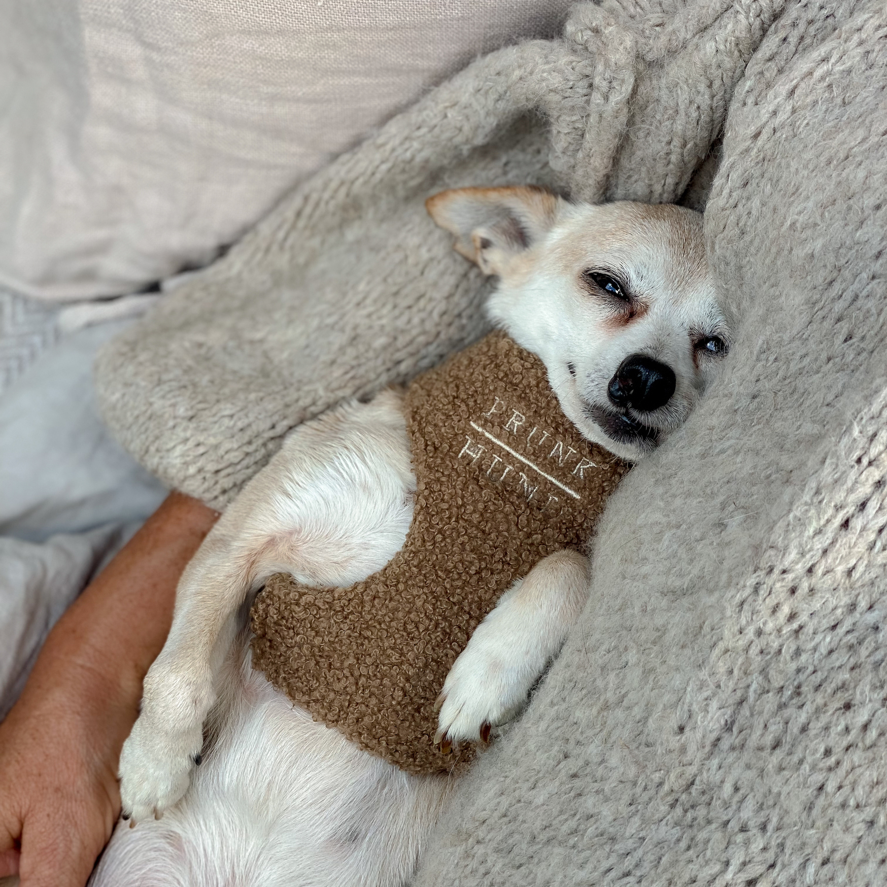 TEDDY tan soft harness