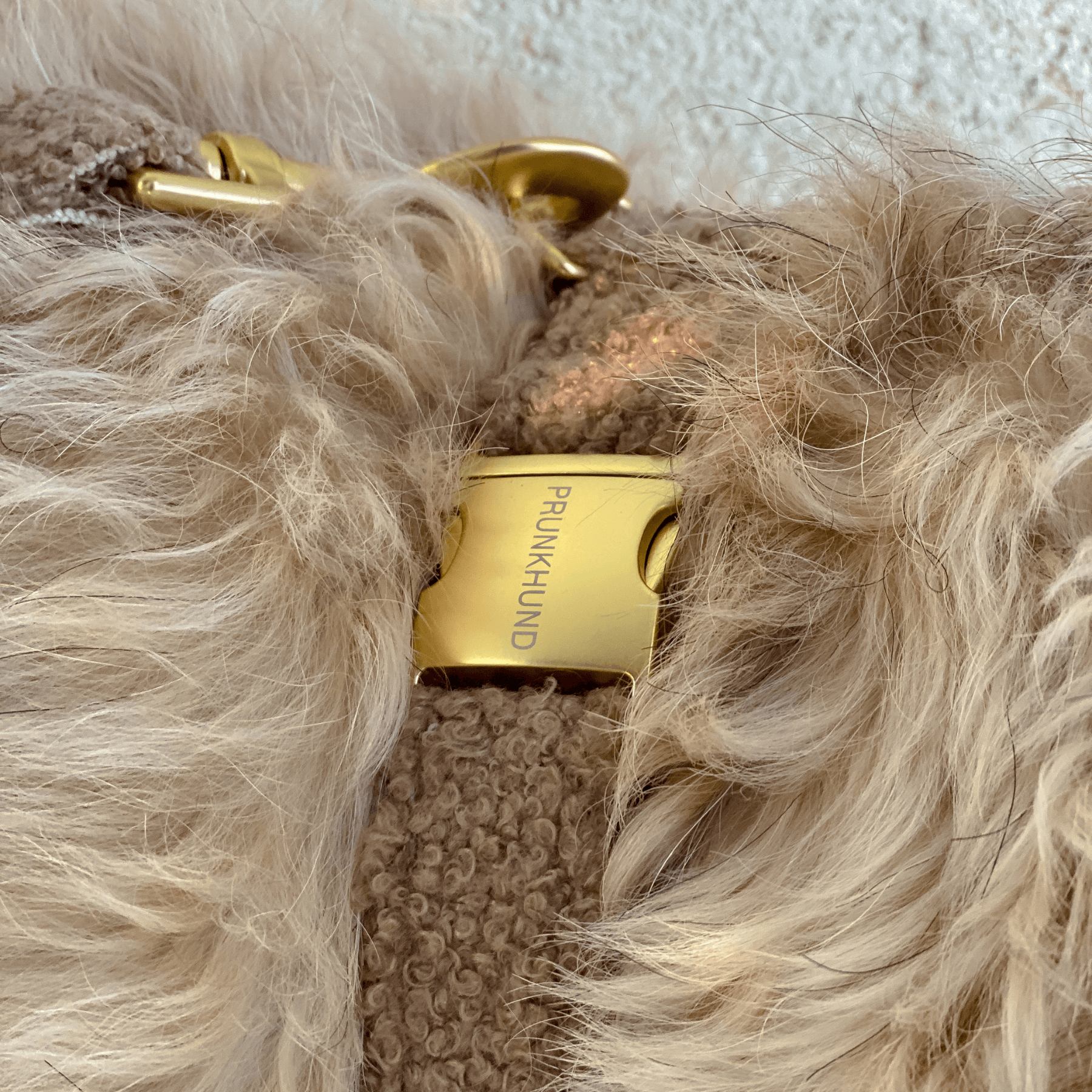 dog harness TEDDY tan