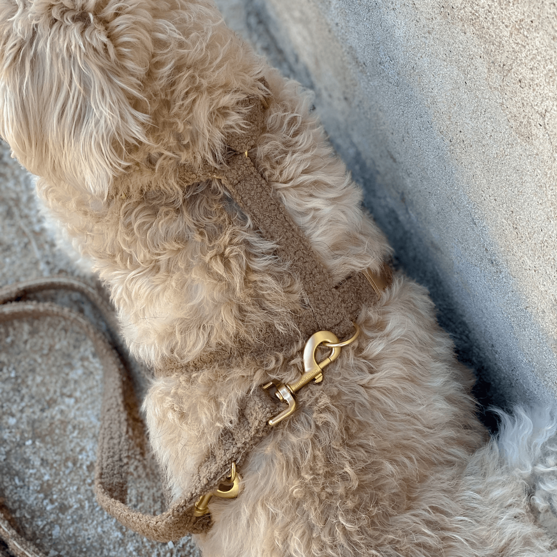 dog harness TEDDY tan