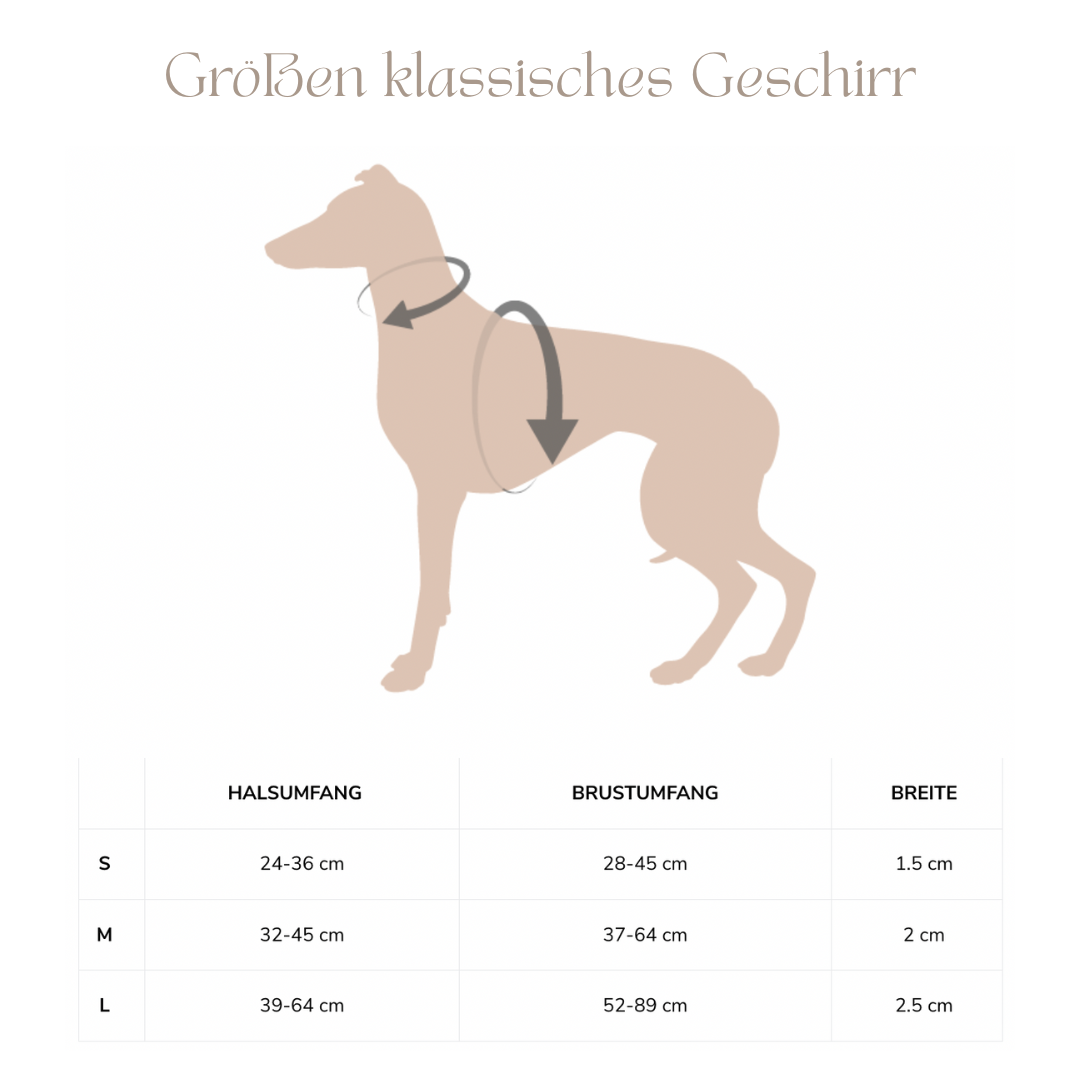PRUNKHUND Oster Wundertüte
