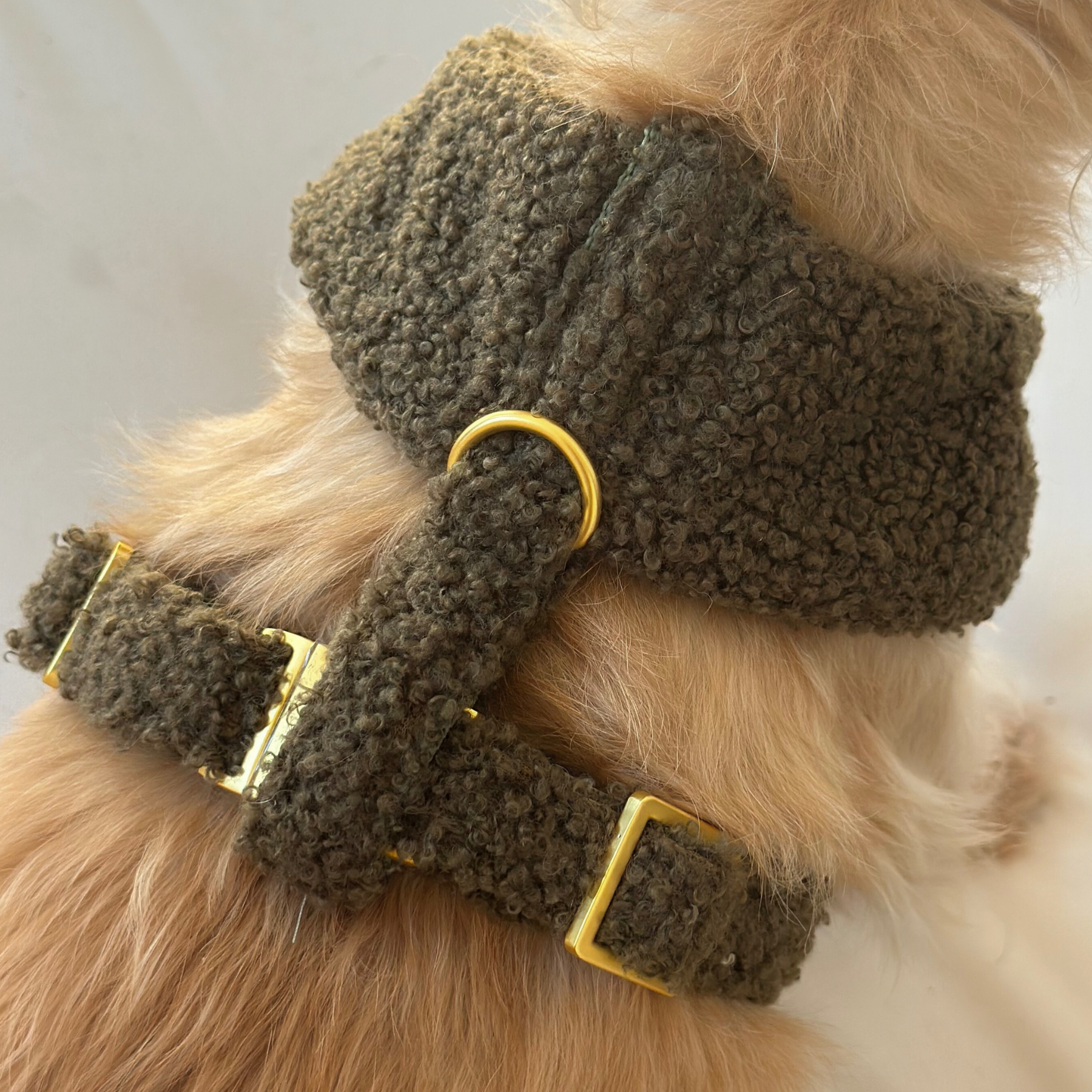 TEDDY tan soft harness